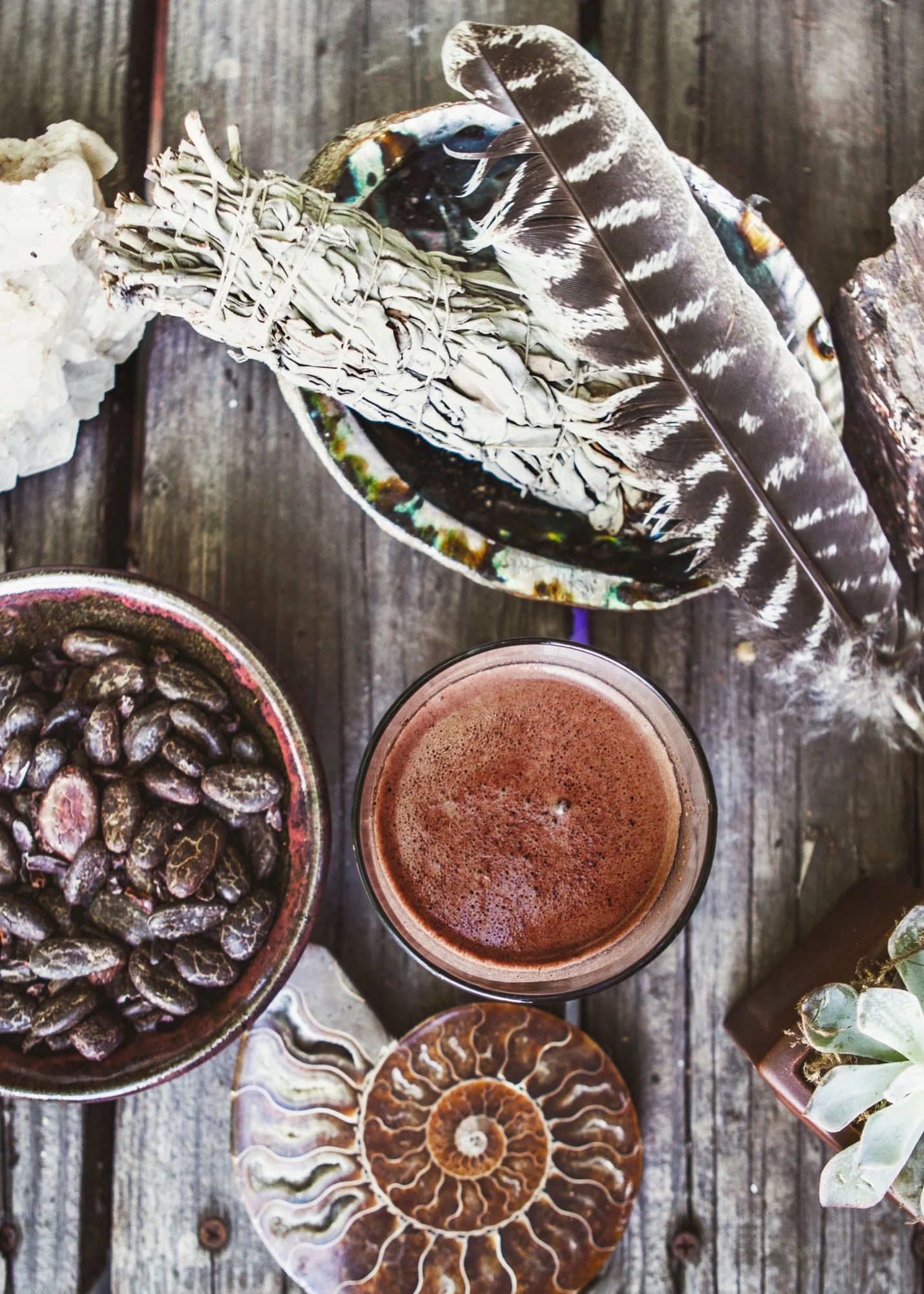 Ancestral Elements: Plant Medicine Circle with Cacao