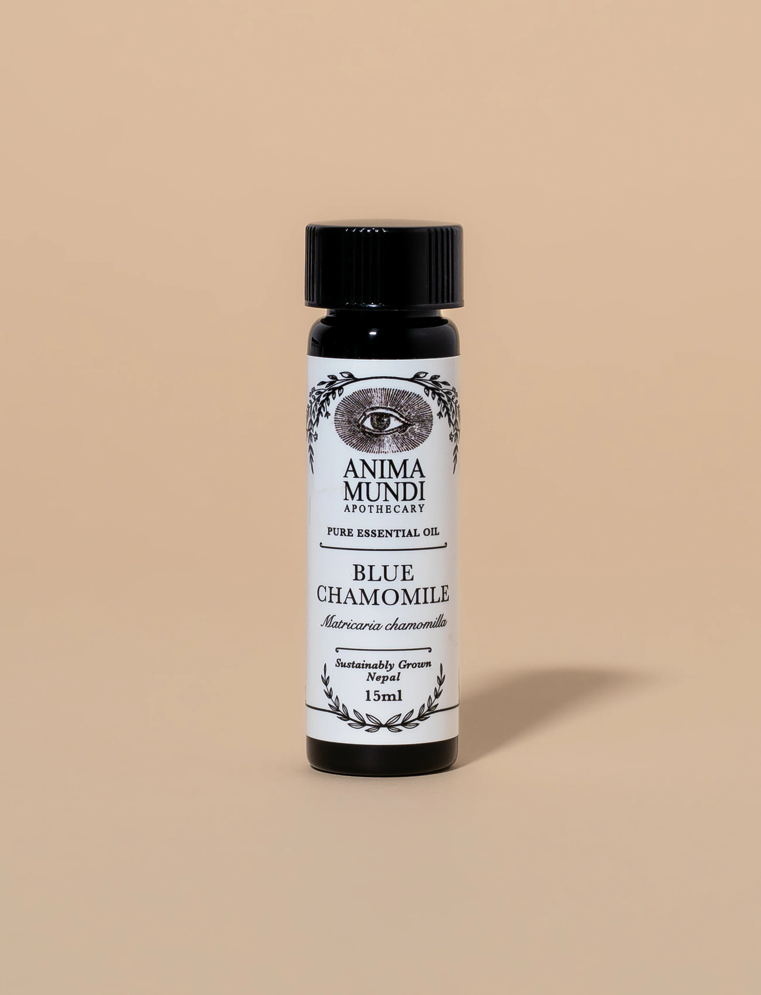 BLUE CHAMOMILE Essential Oil | Sustainably Cultivated
