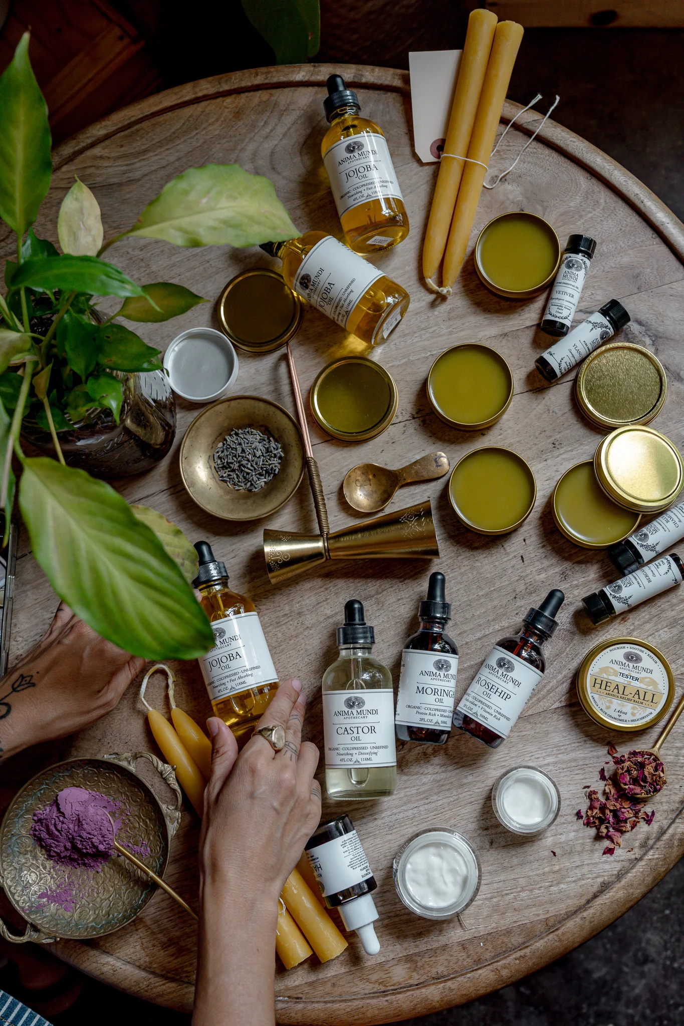 CASTOR OIL | Organic, Coldpressed, Unrefined - Image 6