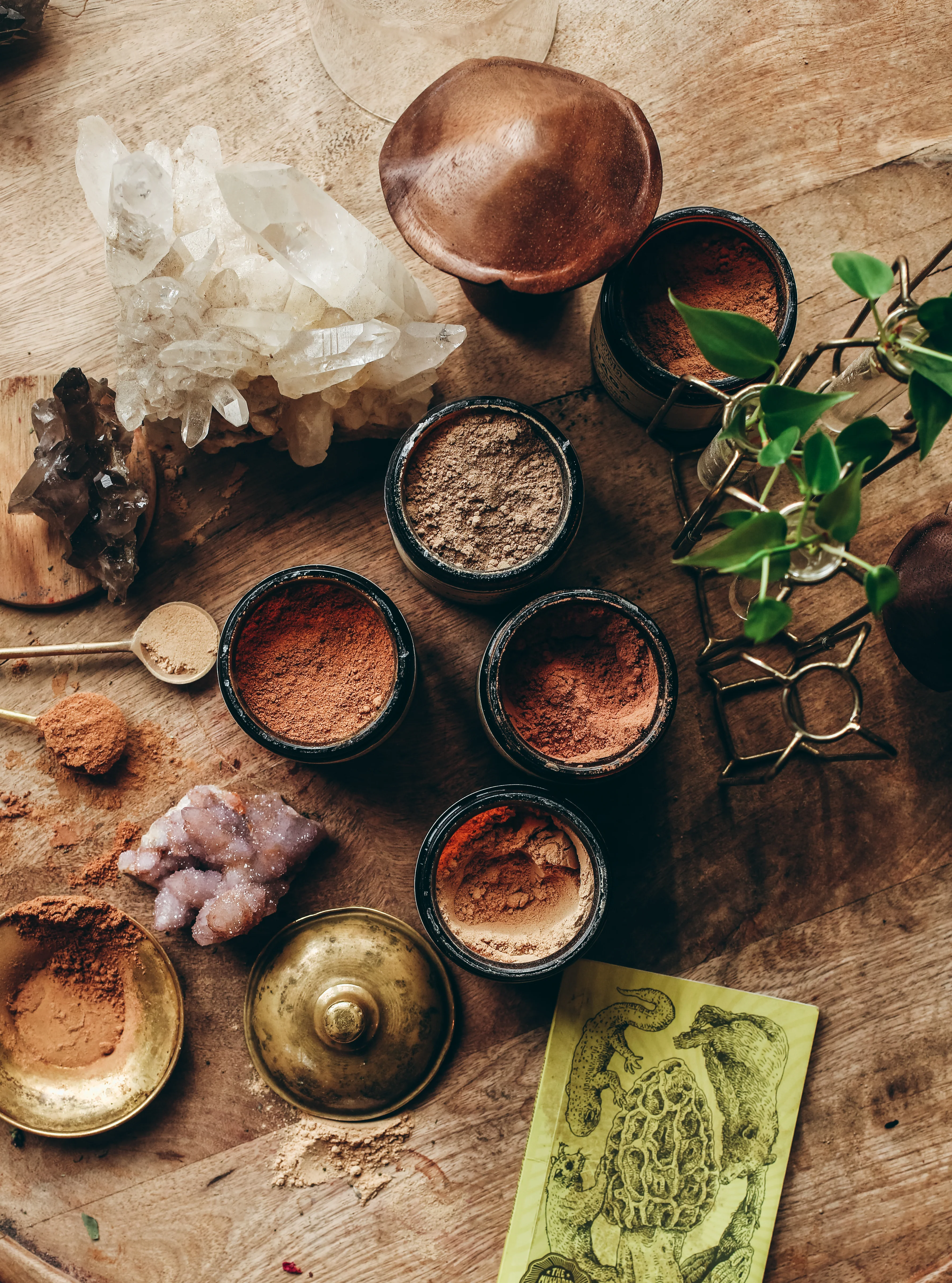 CHAGA | Organic Mushroom Powder, Body Guard* - Image 4