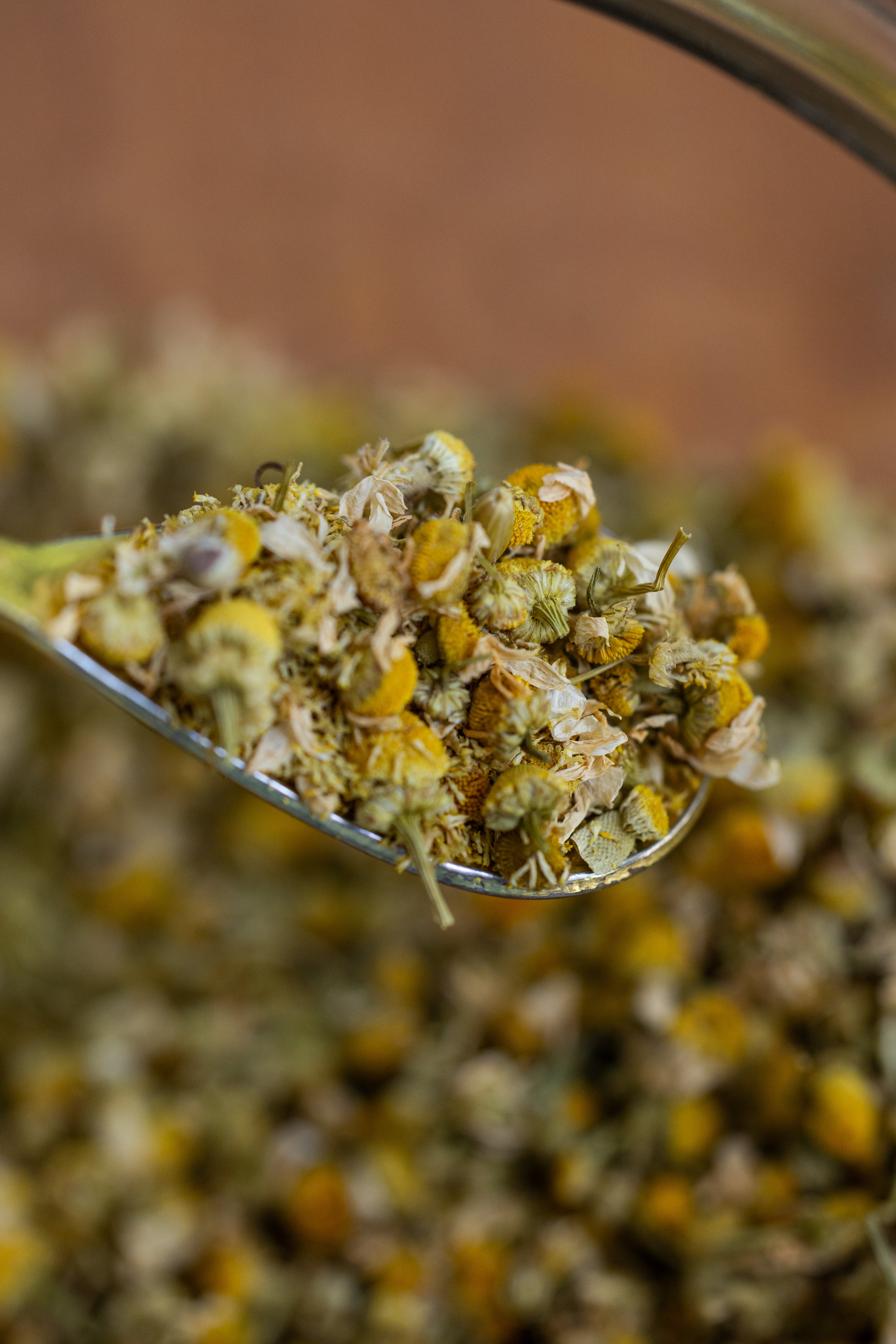 Chamomile Flowers, Organic - Image 3