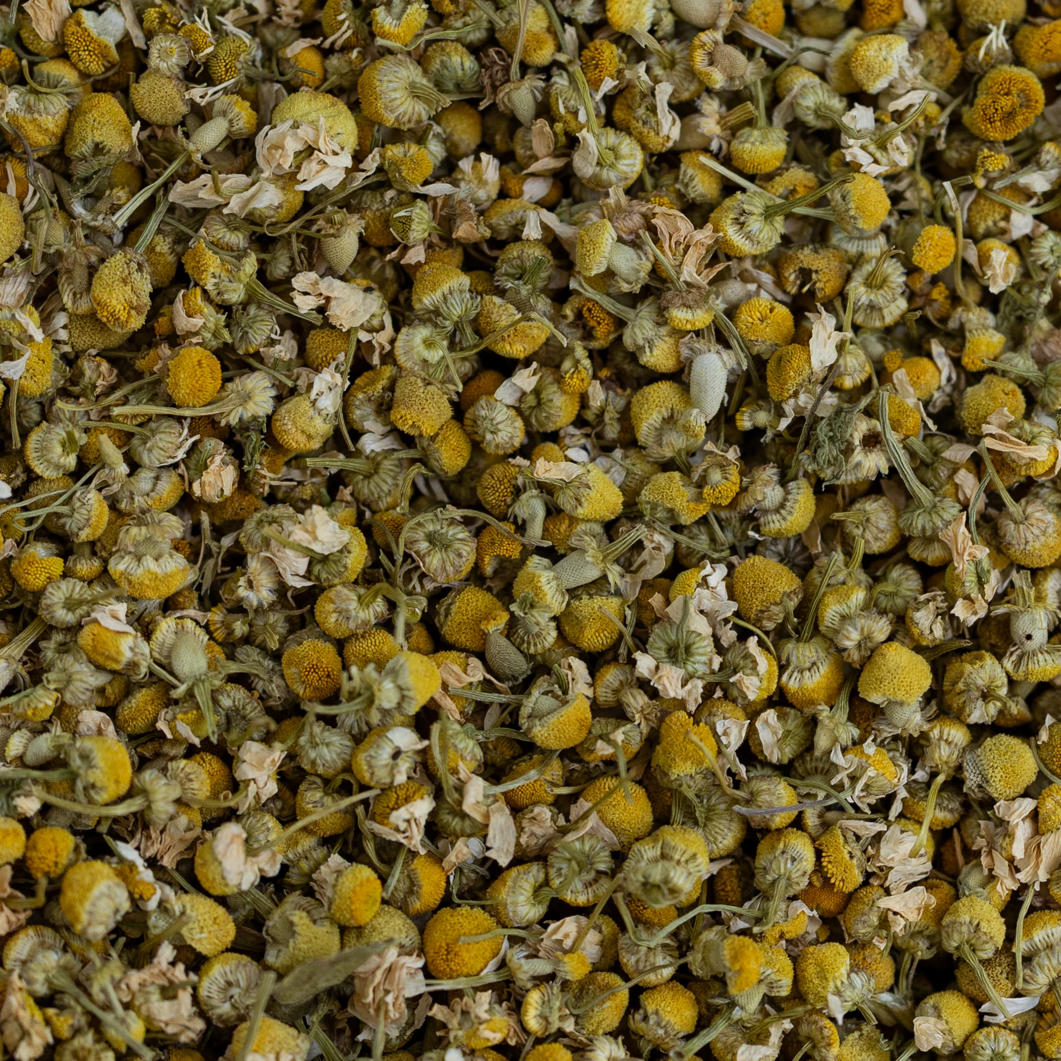 Chamomile Flowers, Organic - Image 4