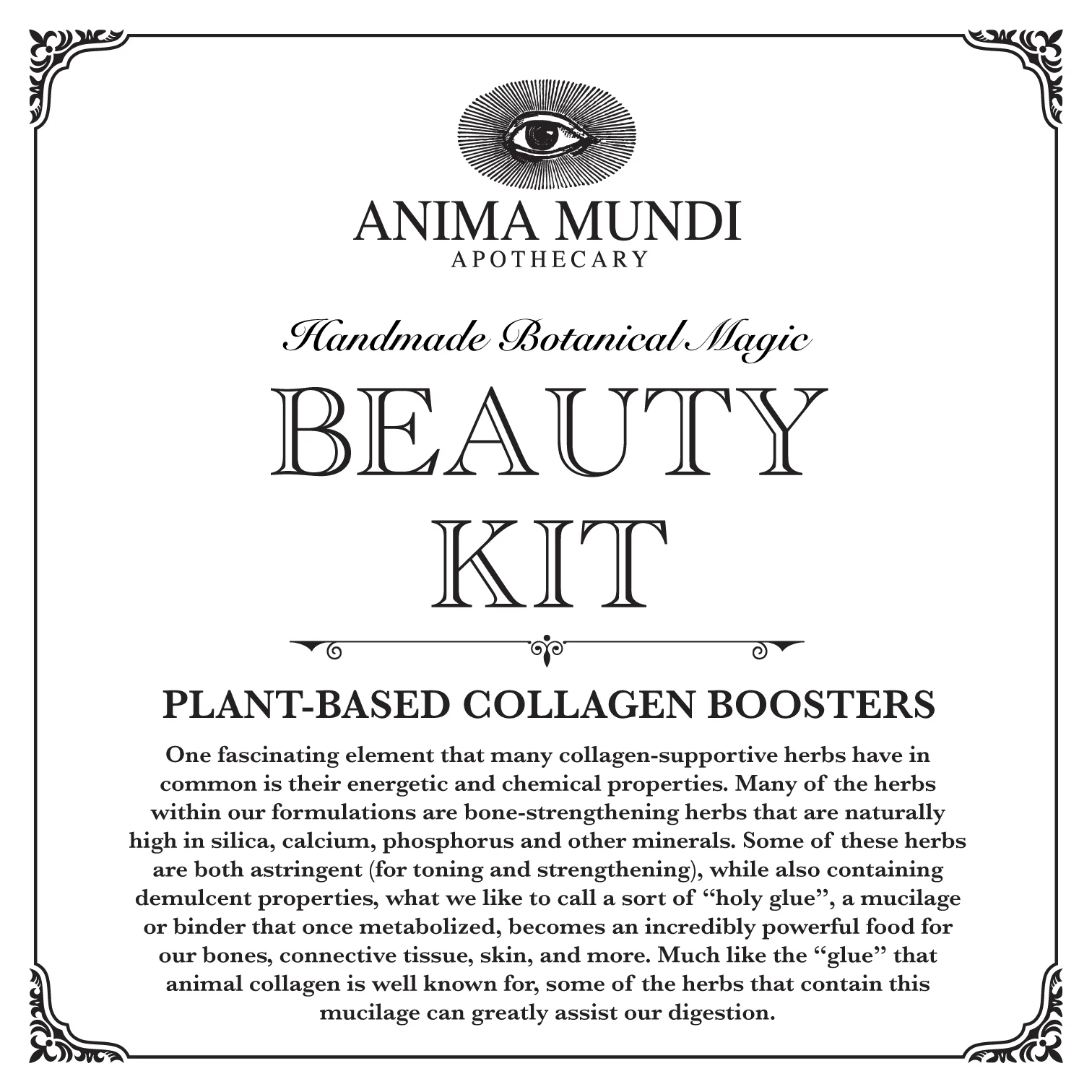 COLLAGEN BEAUTY KIT | Skin, Hair, Nails + Bones* - Image 6