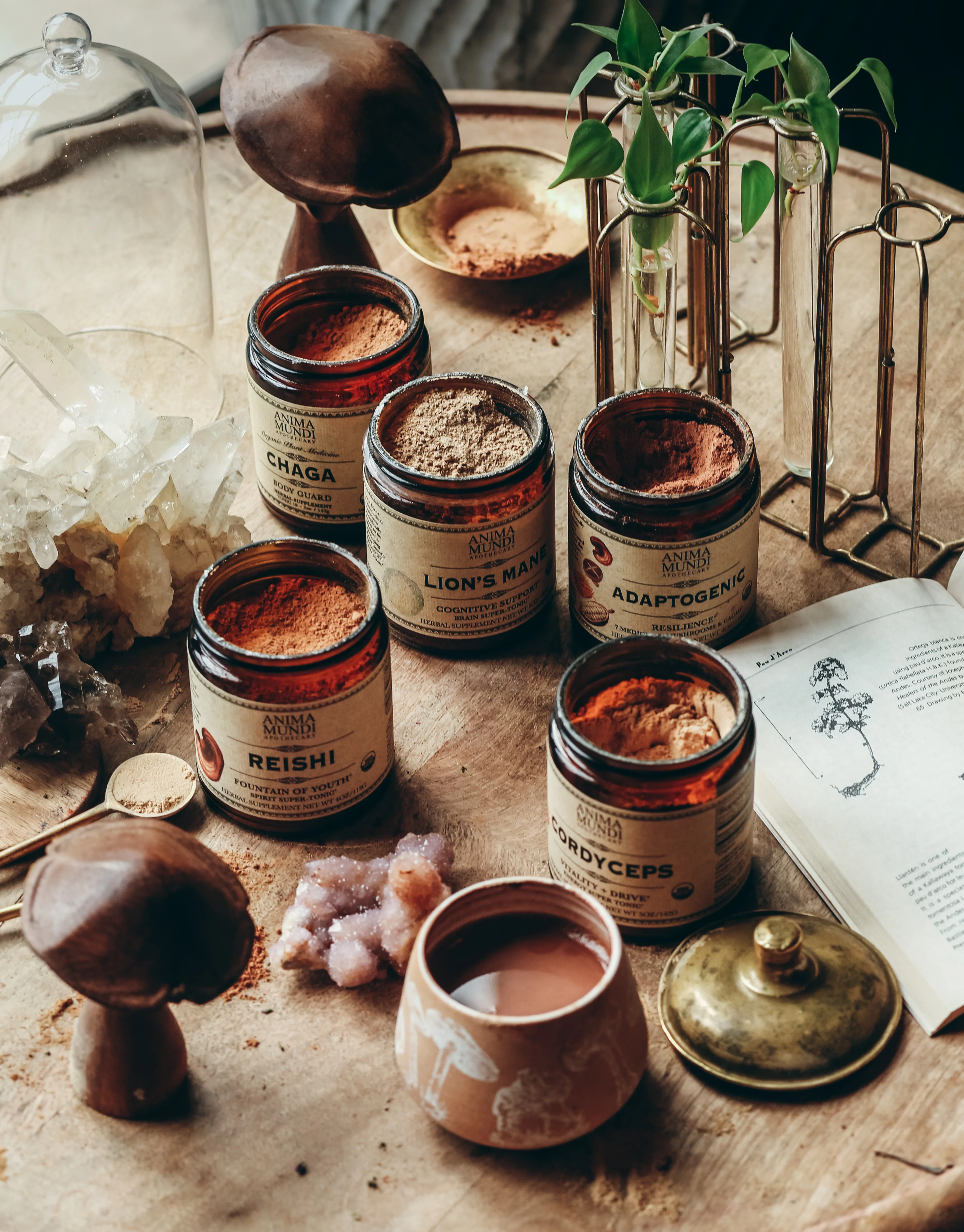 CORDYCEPS | Organic Mushroom Powder, Energy Super Tonic* - Image 10