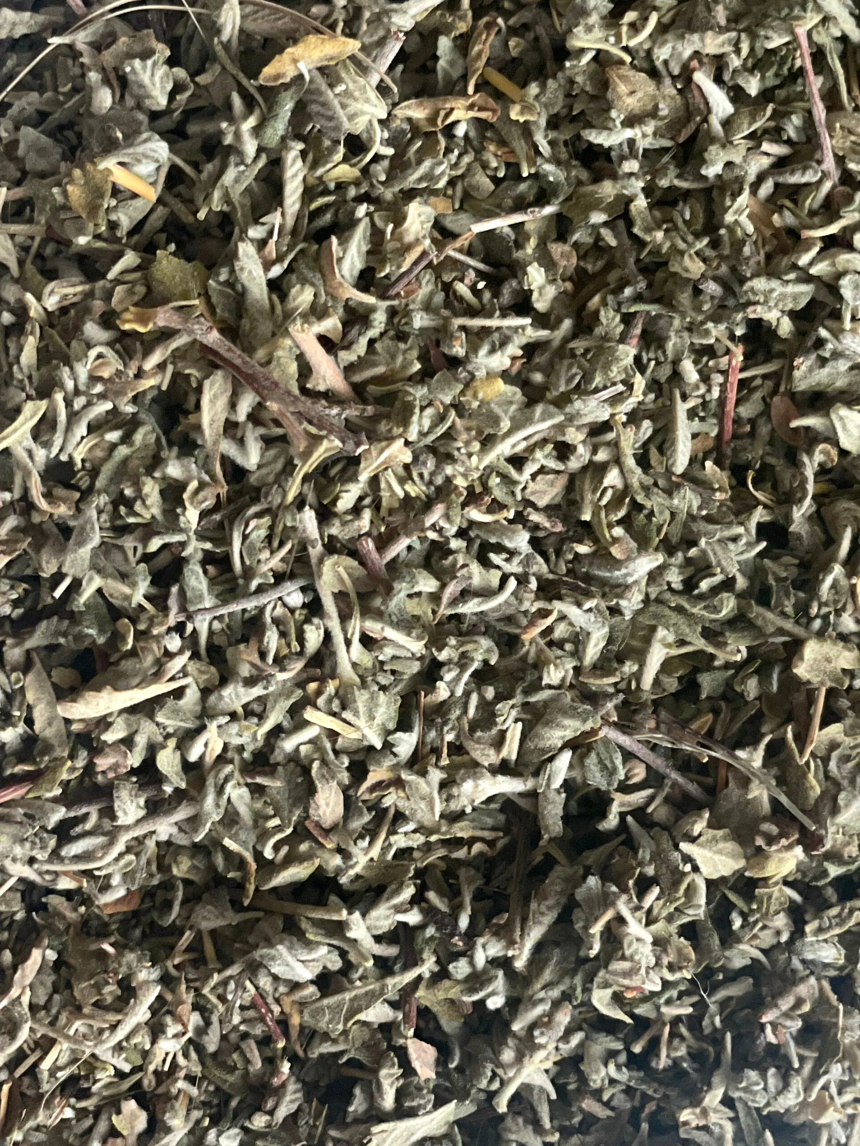 Damiana, Organic 4 oz BULK BAG - Image 3