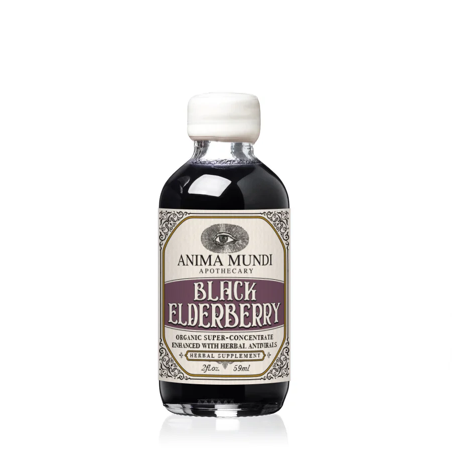 BLACK ELDERBERRY Elixir | Botanical Mushroom Syrup - Image 12