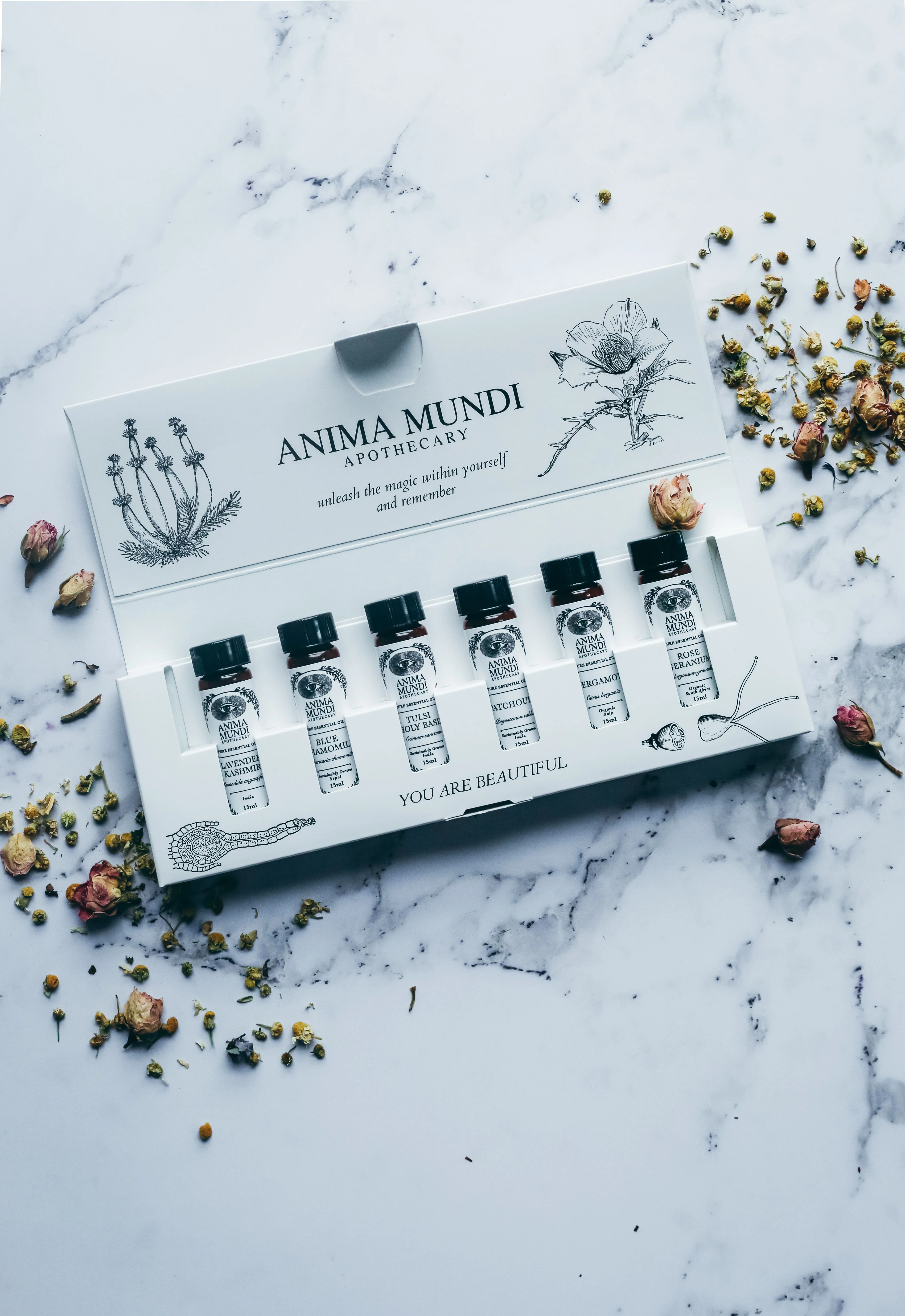 RELAX + DE-STRESS KIT | 6 Essential Oils - Image 2