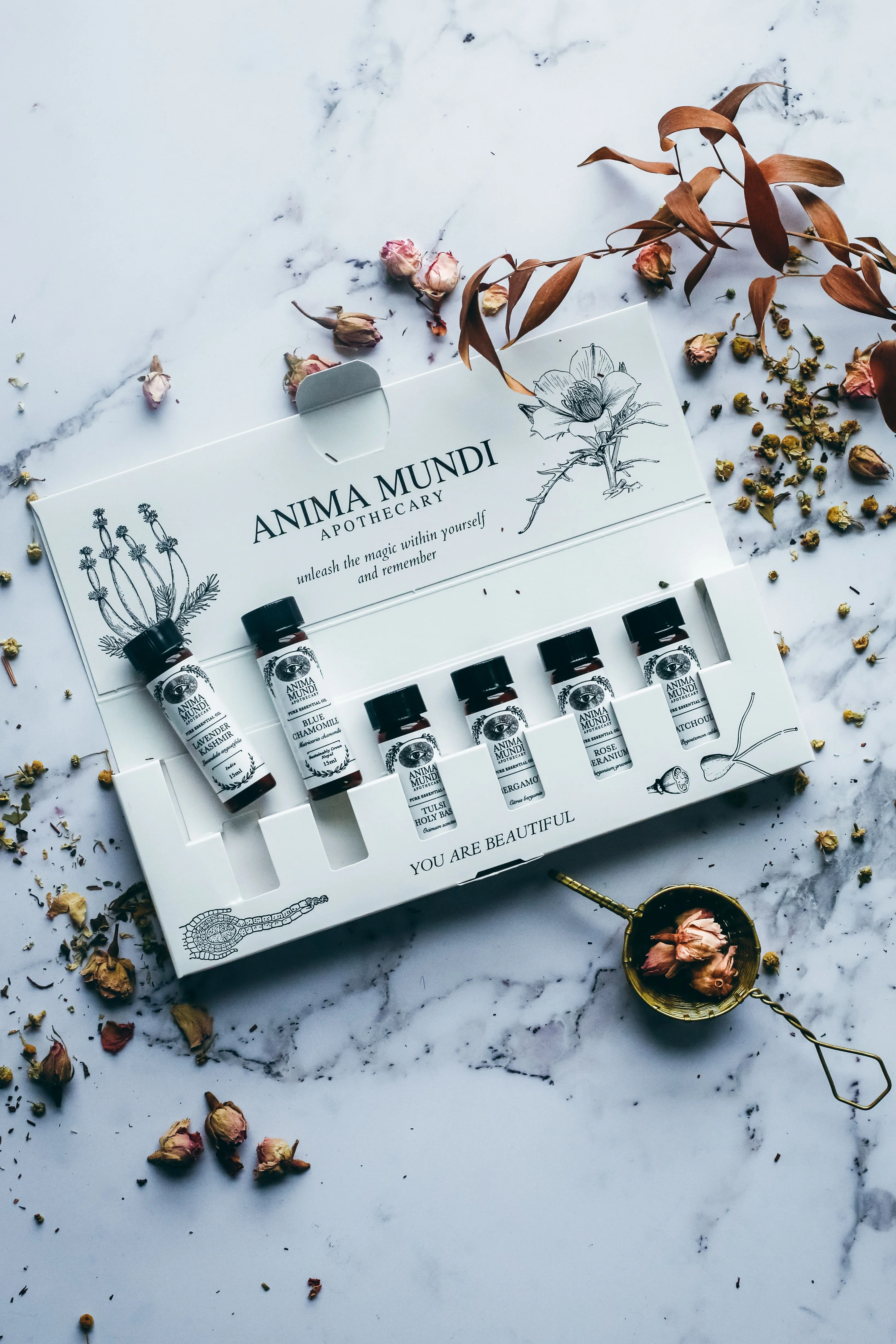RELAX + DE-STRESS KIT | 6 Essential Oils - Image 3