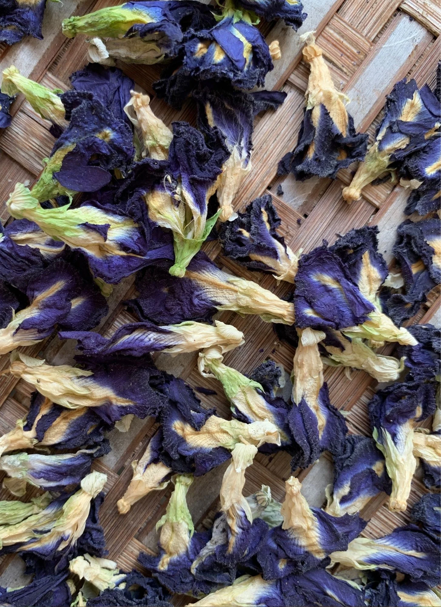 WHOLE BUTTERFLY PEA FLOWERS | Organic Blue Healer* - Image 4