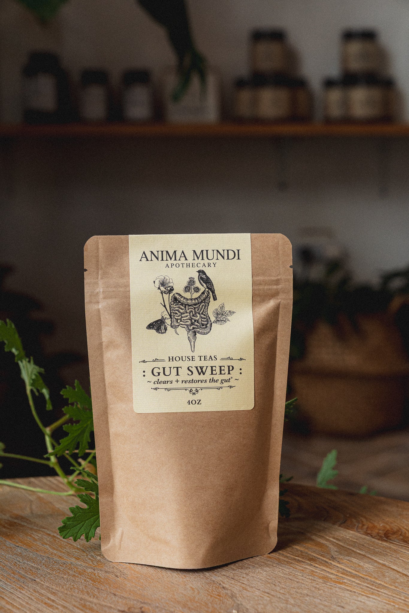 GUT SWEEP | Intestinal Love, Parasite Support Tea - Image 4