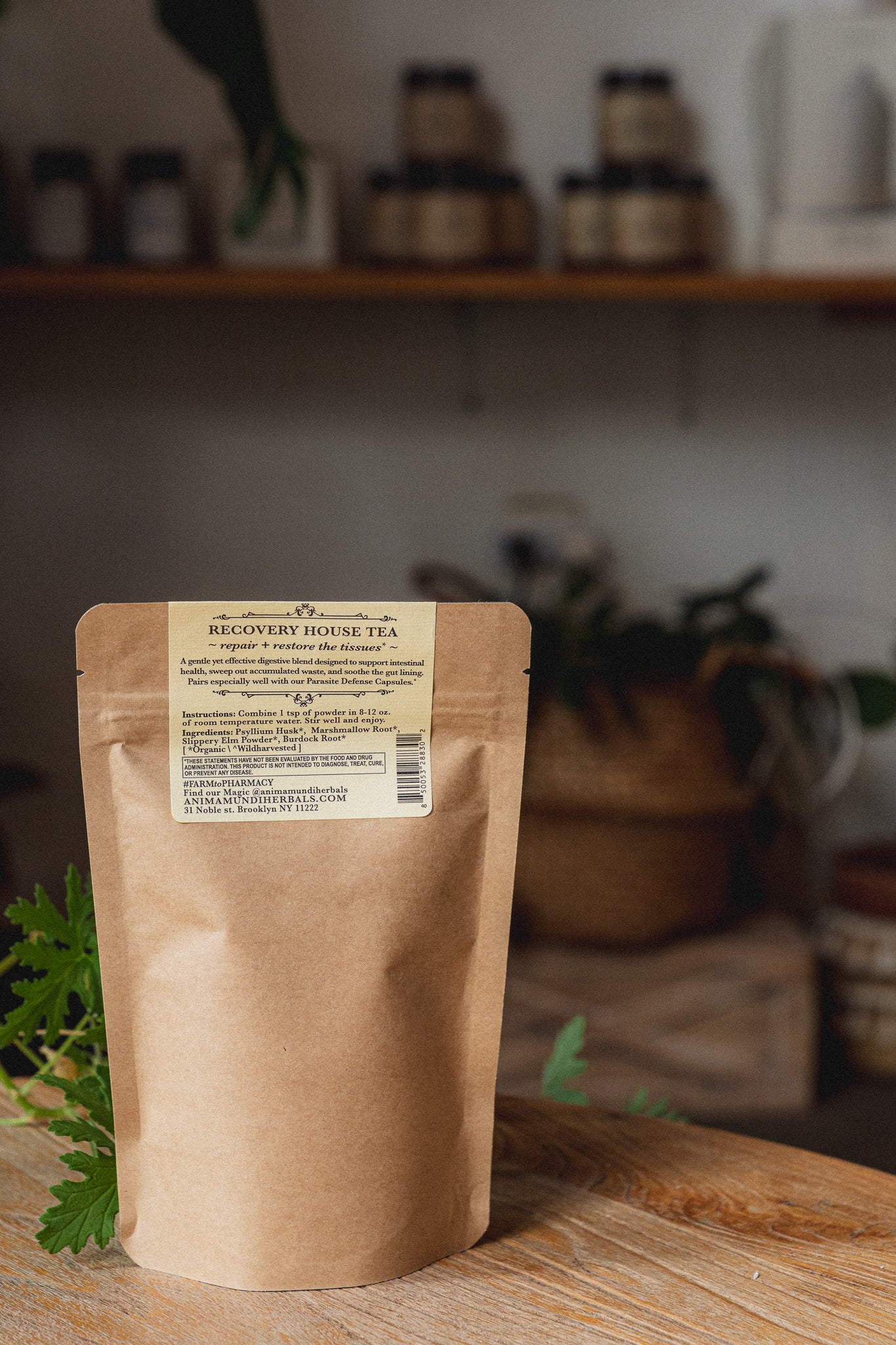 GUT SWEEP | Intestinal Love, Parasite Support Tea - Image 5