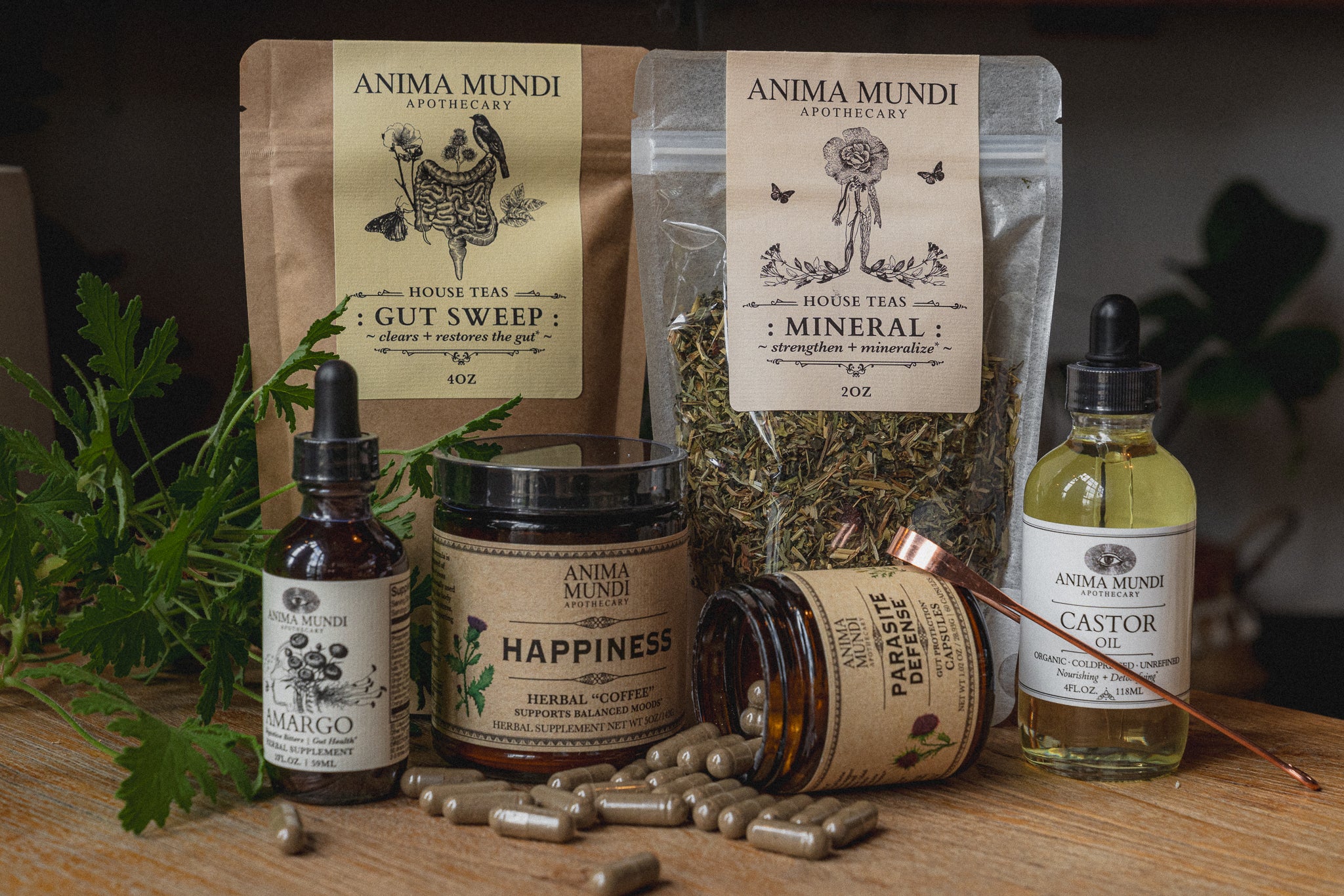 GUT SWEEP | Intestinal Love, Parasite Support Tea - Image 7