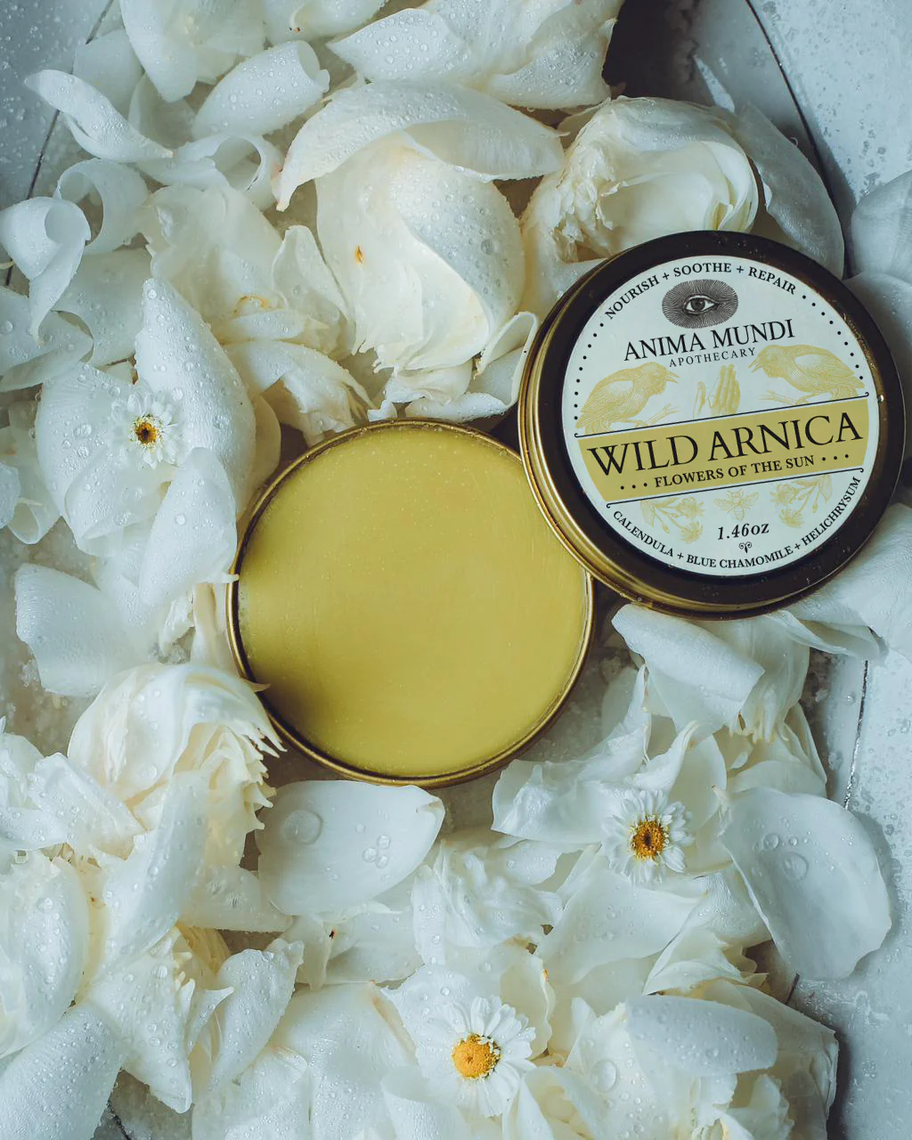 WILD ARNICA BALM | Flowers of the Sun - Image 3