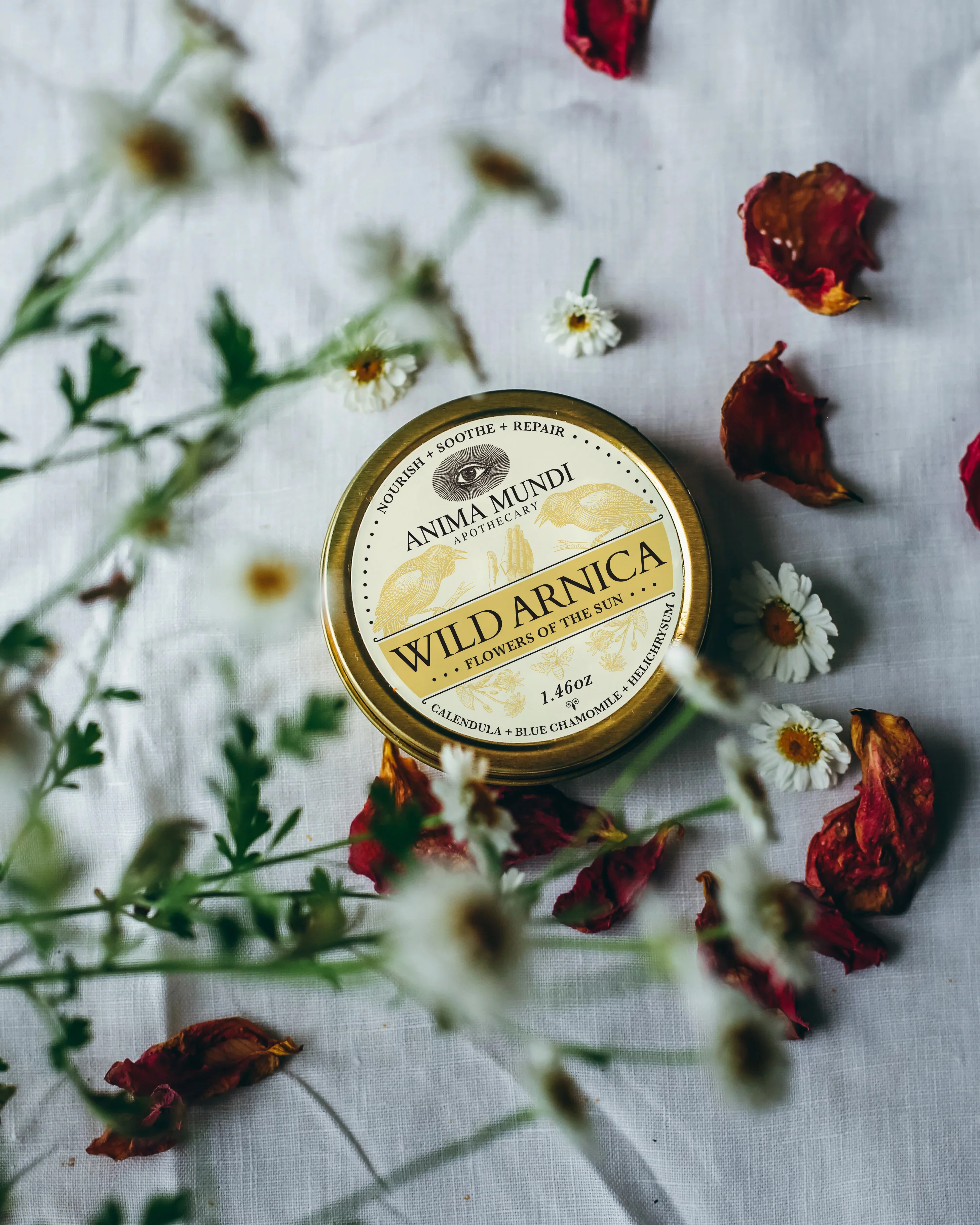 WILD ARNICA BALM | Flowers of the Sun - Image 5