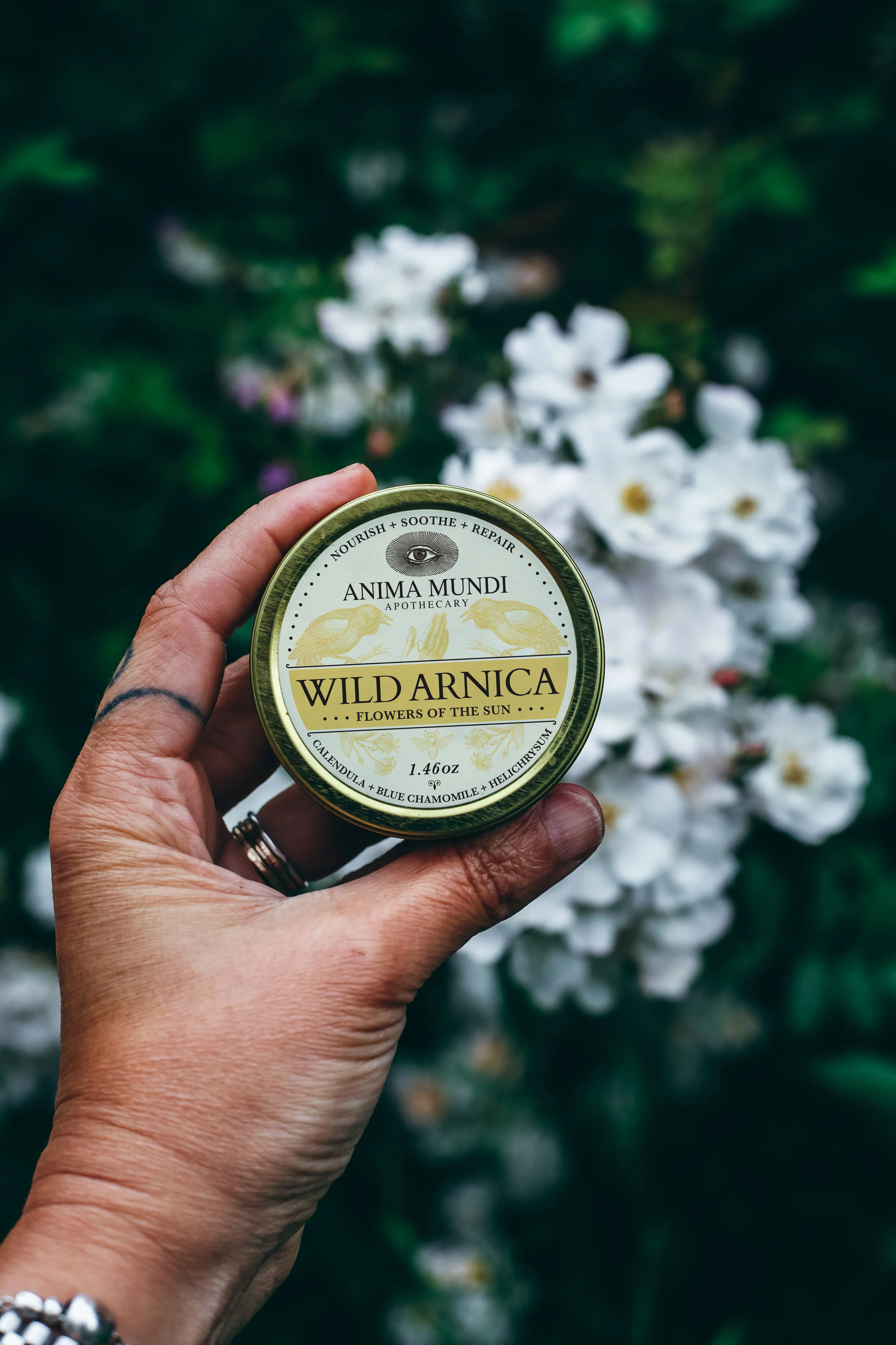 WILD ARNICA BALM | Flowers of the Sun - Image 6