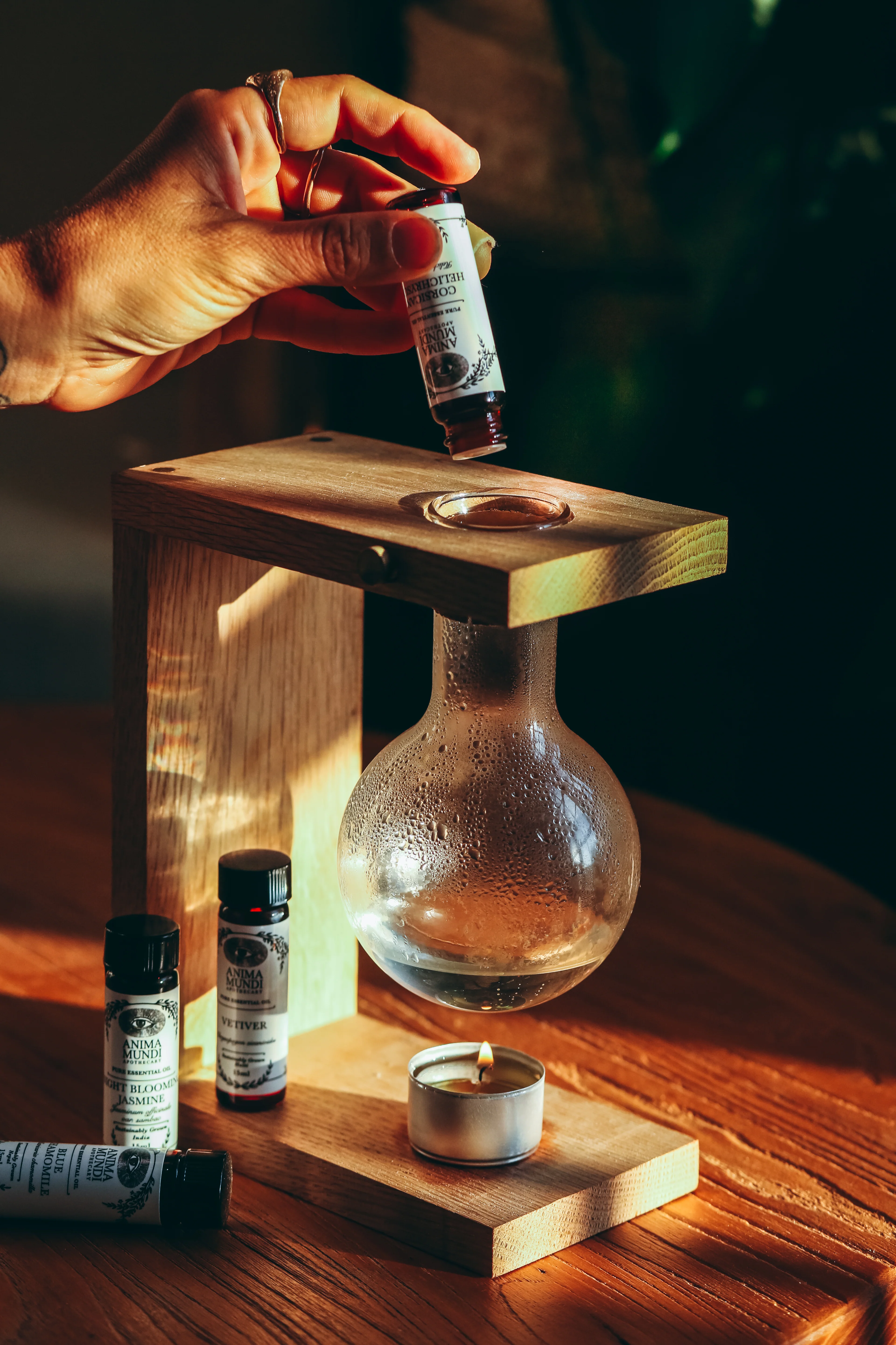 HELICHRYSUM Essential Oil | Sustainably Cultivated, Corsican - Image 3