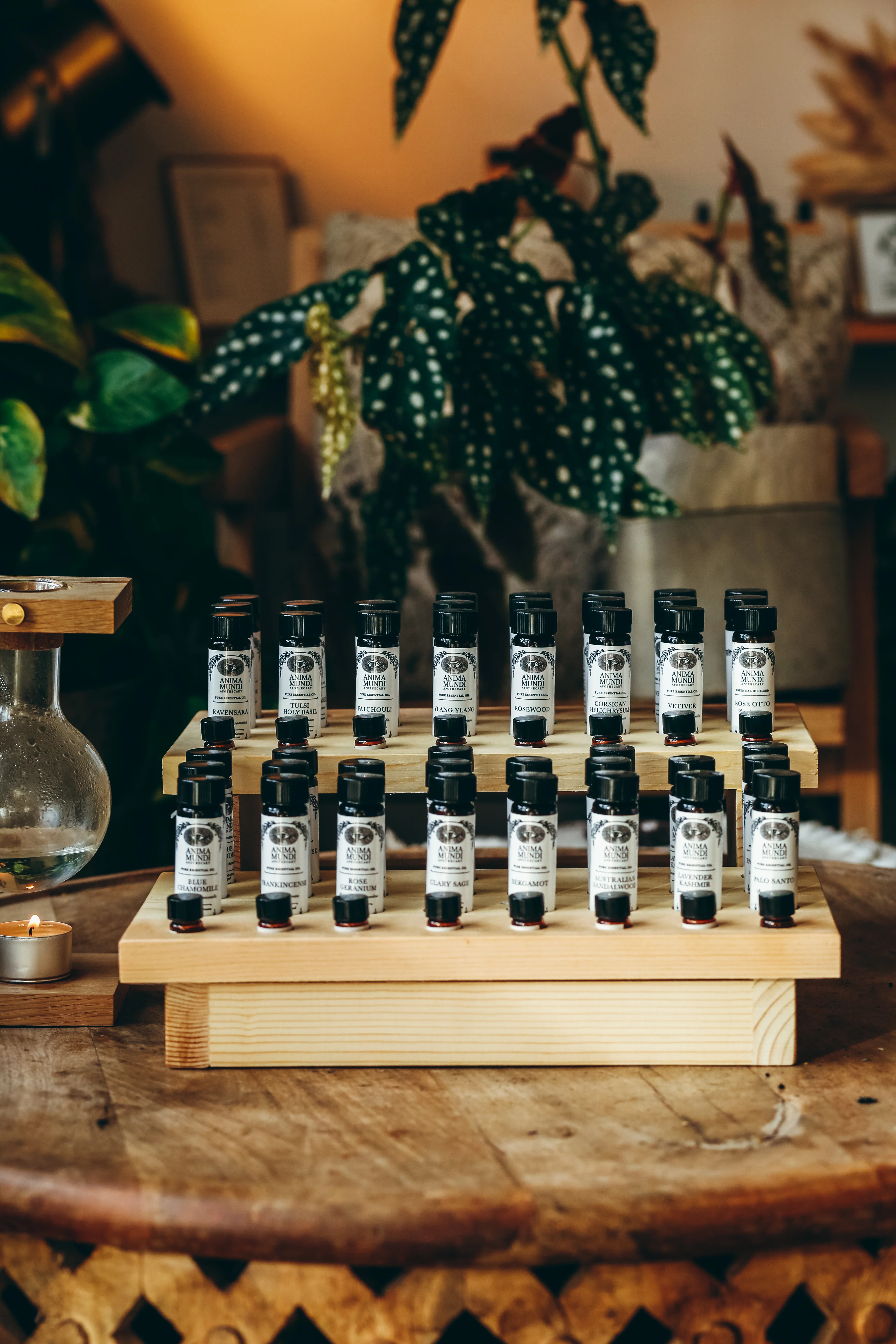 HELICHRYSUM Essential Oil | Sustainably Cultivated, Corsican - Image 4