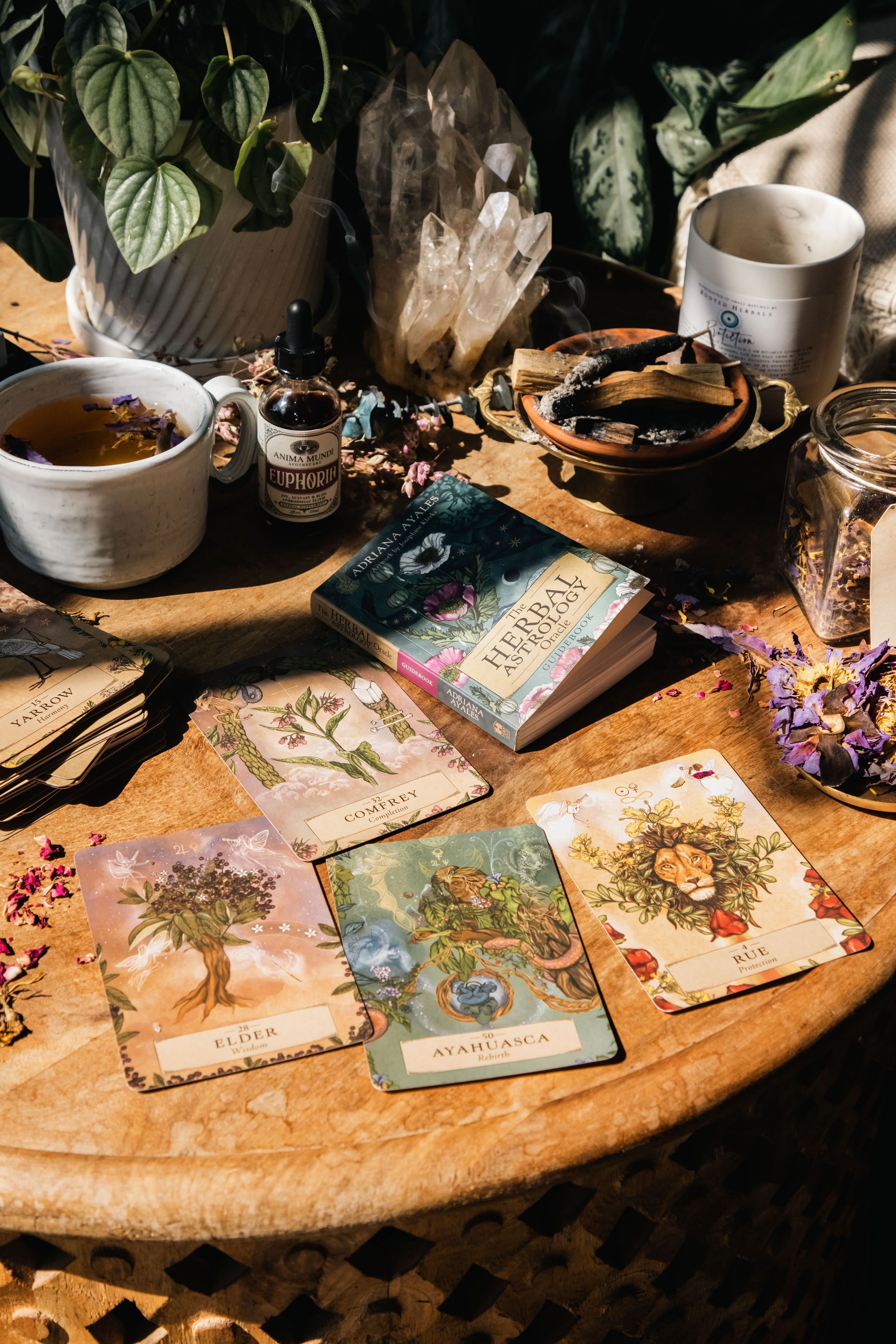 HERBAL ASTROLOGY Oracle | 55-Card Deck + Guidebook - Image 10