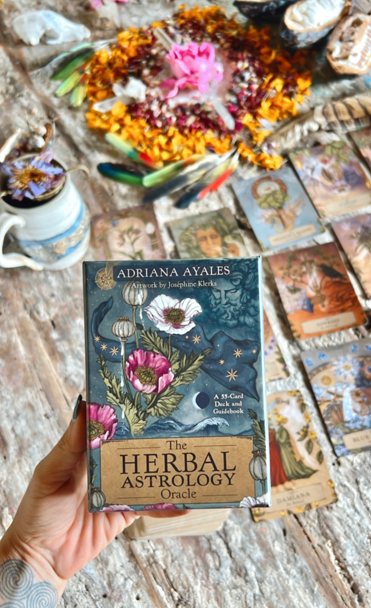 HERBAL ASTROLOGY Oracle | 55-Card Deck + Guidebook - Image 11