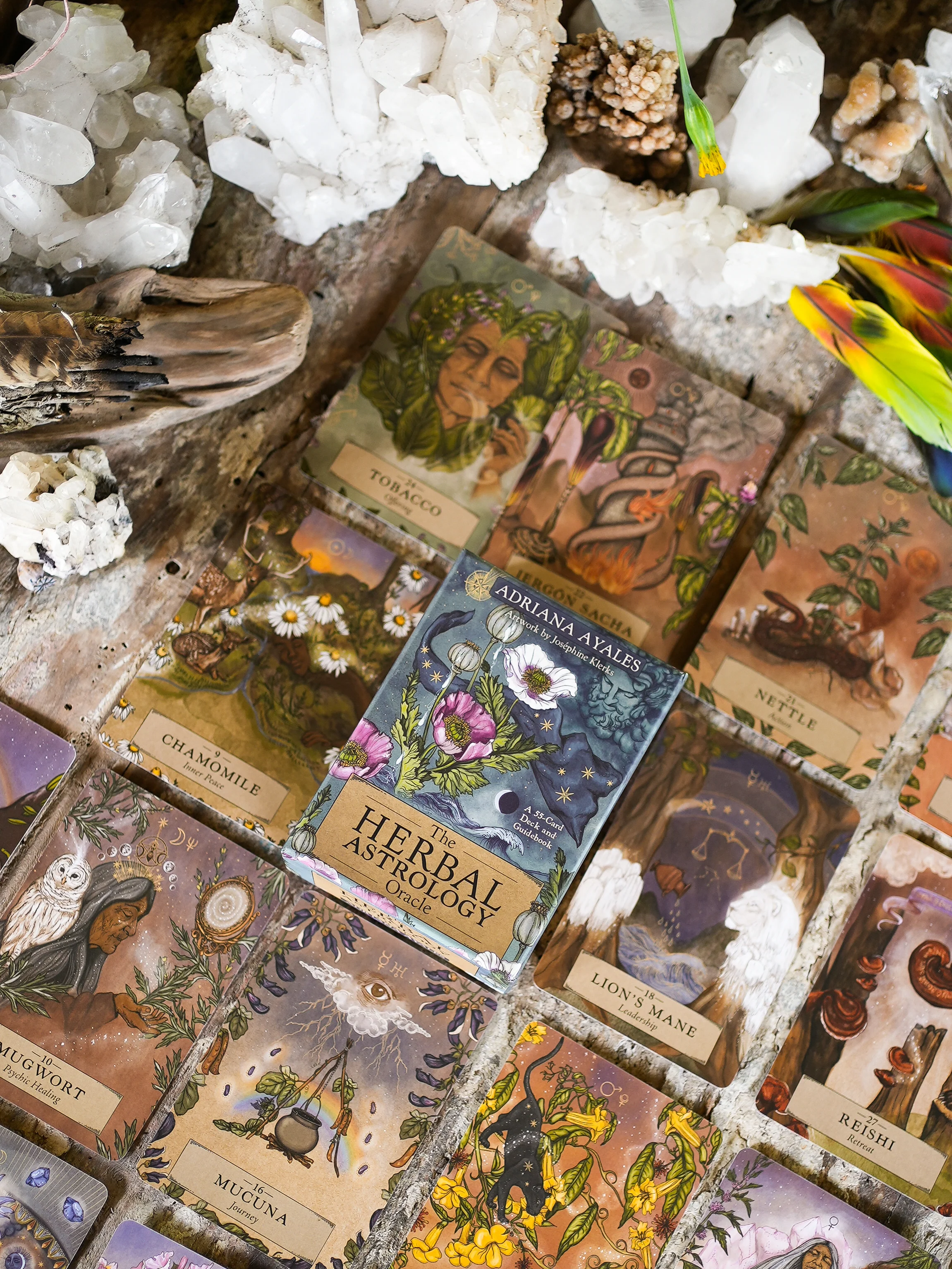 HERBAL ASTROLOGY Oracle | 55-Card Deck + Guidebook - Image 3