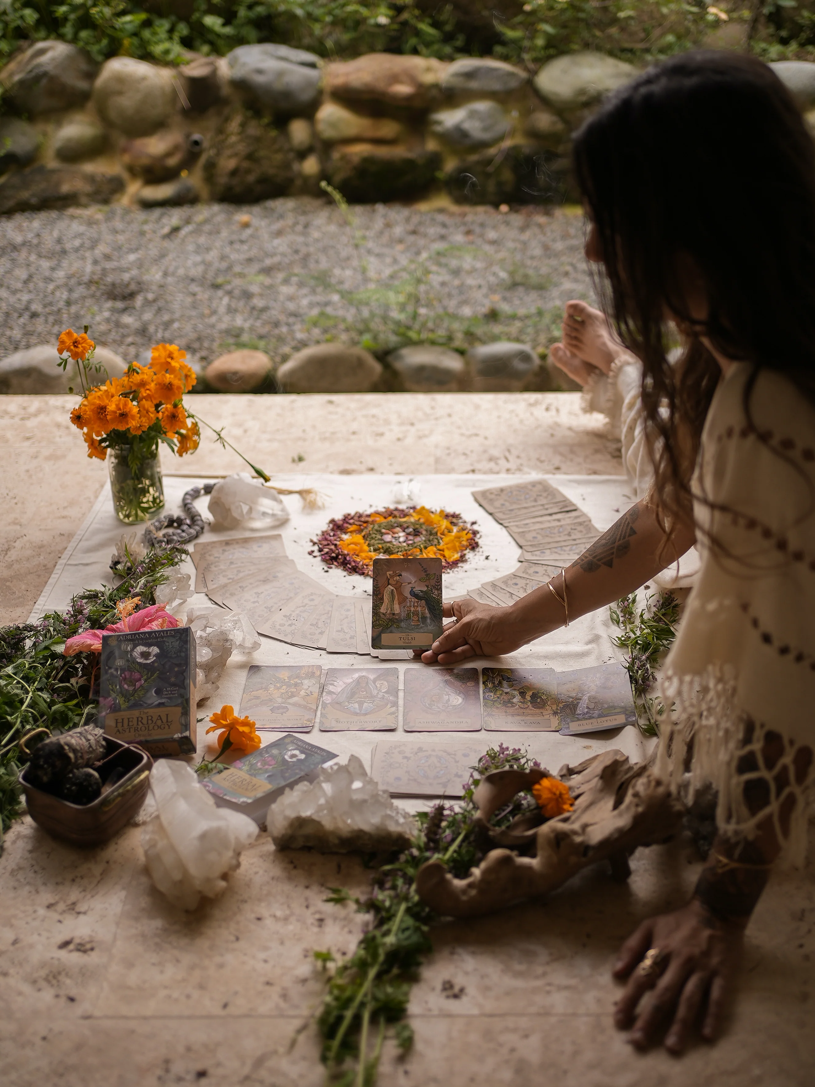 HERBAL ASTROLOGY Oracle | 55-Card Deck + Guidebook - Image 6
