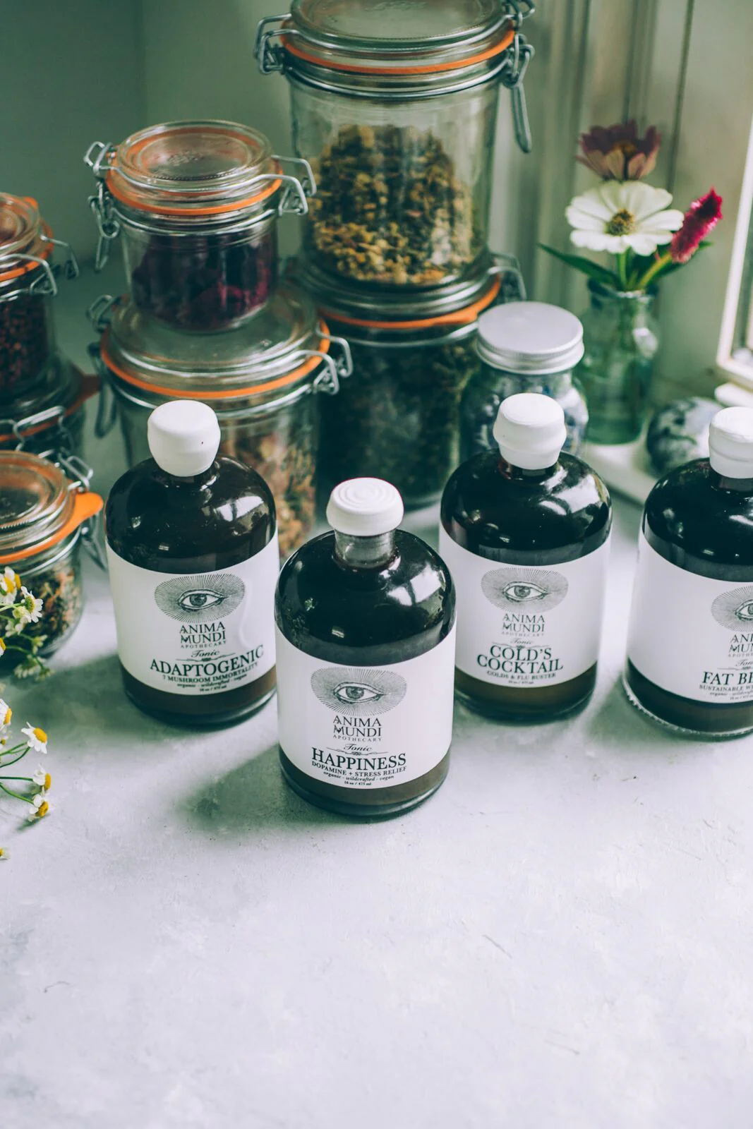 MASTER TONIC KIT | Barista Series