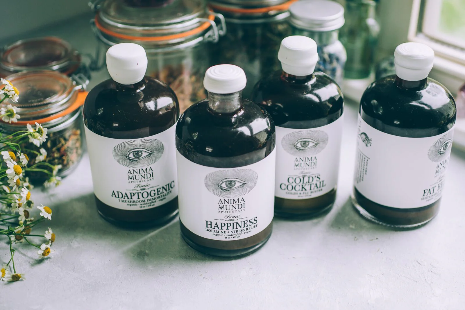 MASTER TONIC KIT | Barista Series - Image 2