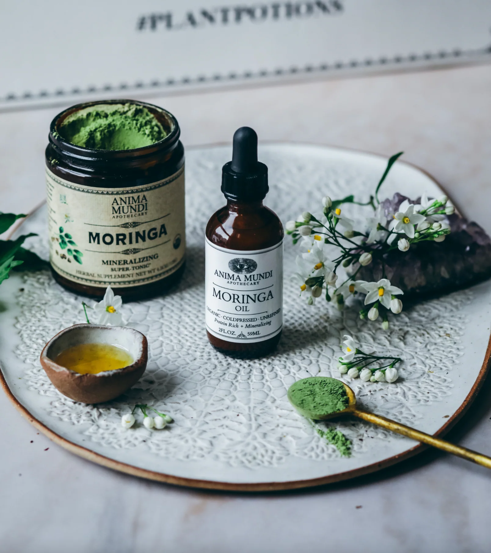 MORINGA OIL | Organic, Coldpressed, Unrefined - Image 2
