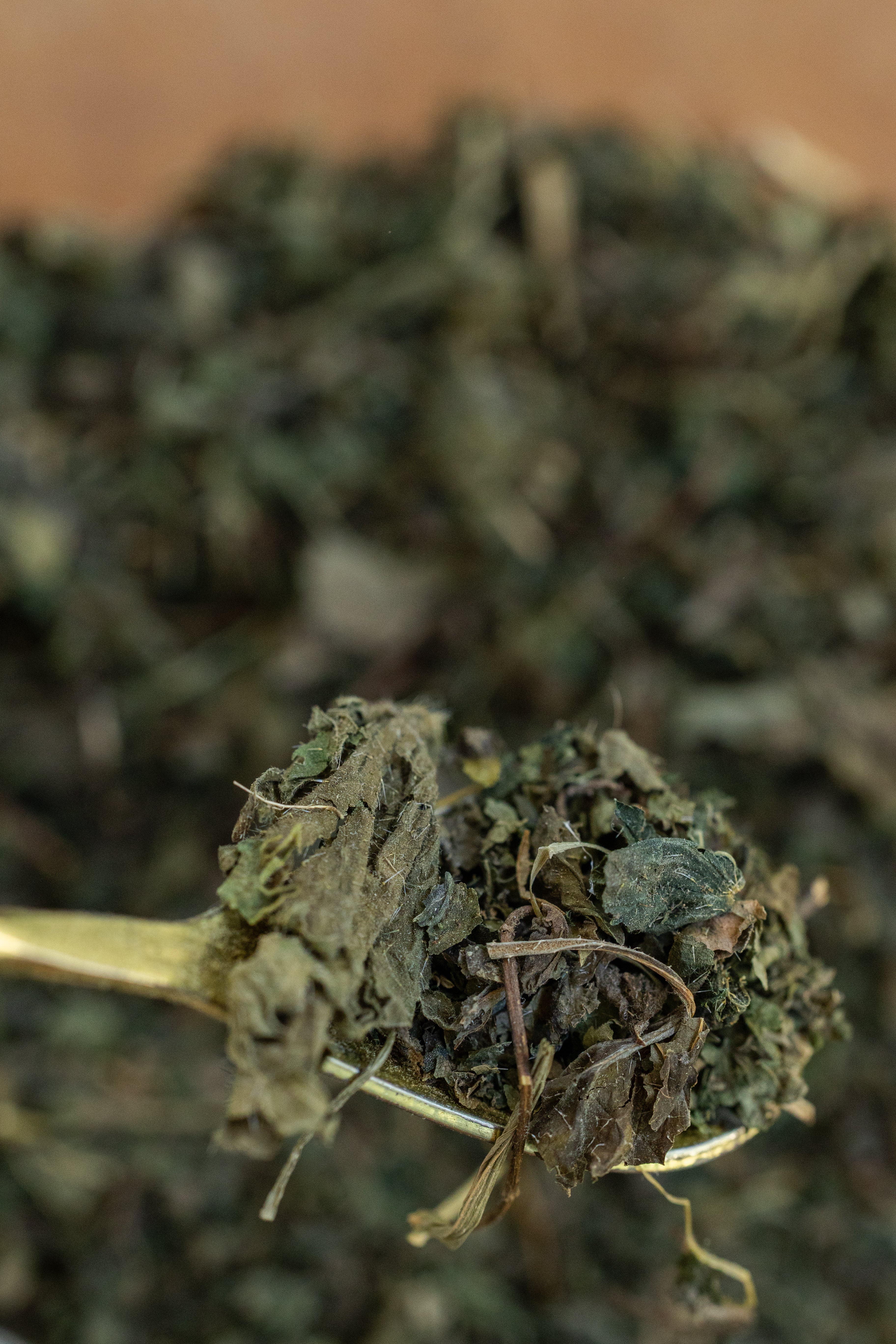 Nettle Leaf, Organic - Image 2