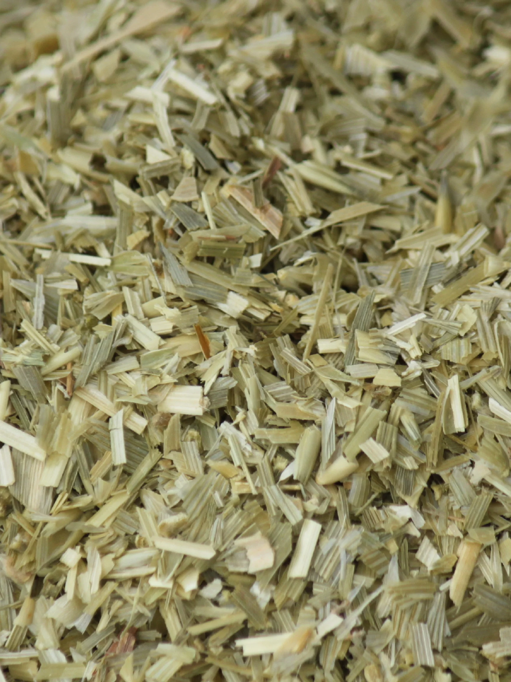 Oat Straw, Organic 4 oz BULK BAG