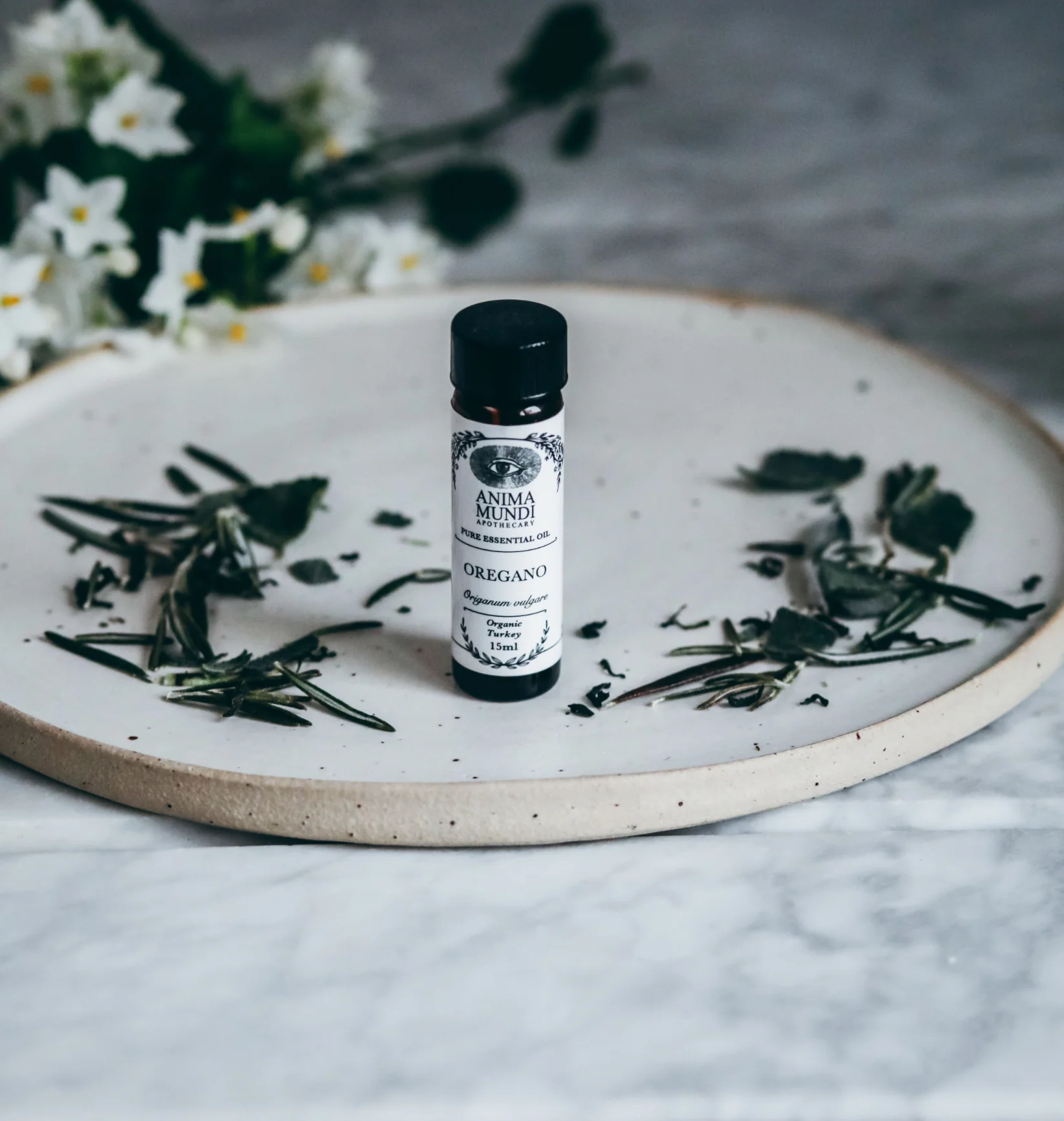 OREGANO Essential Oil | Organic - Image 2