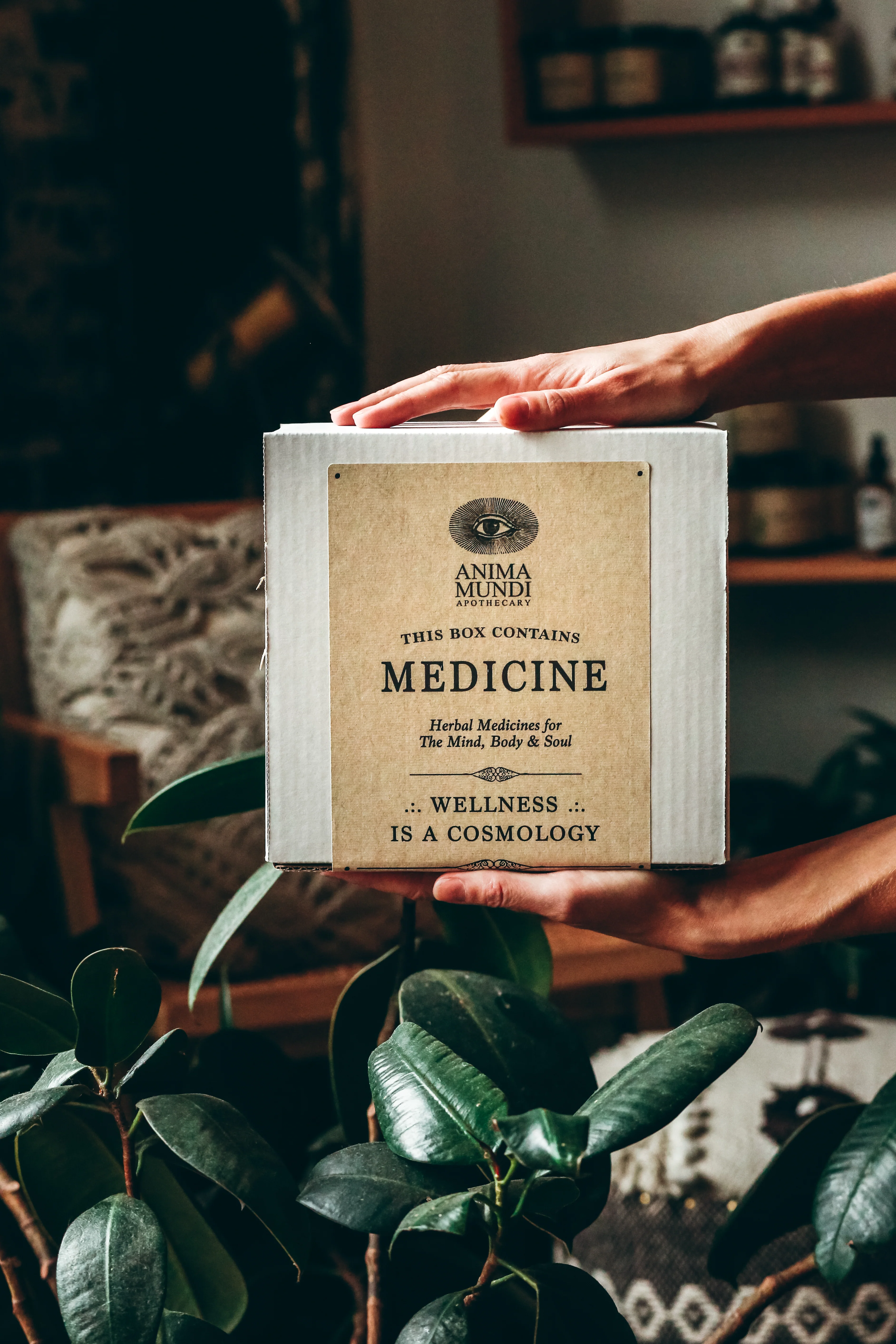 Palo Santo Ritual Set | BUNDLE - Image 3