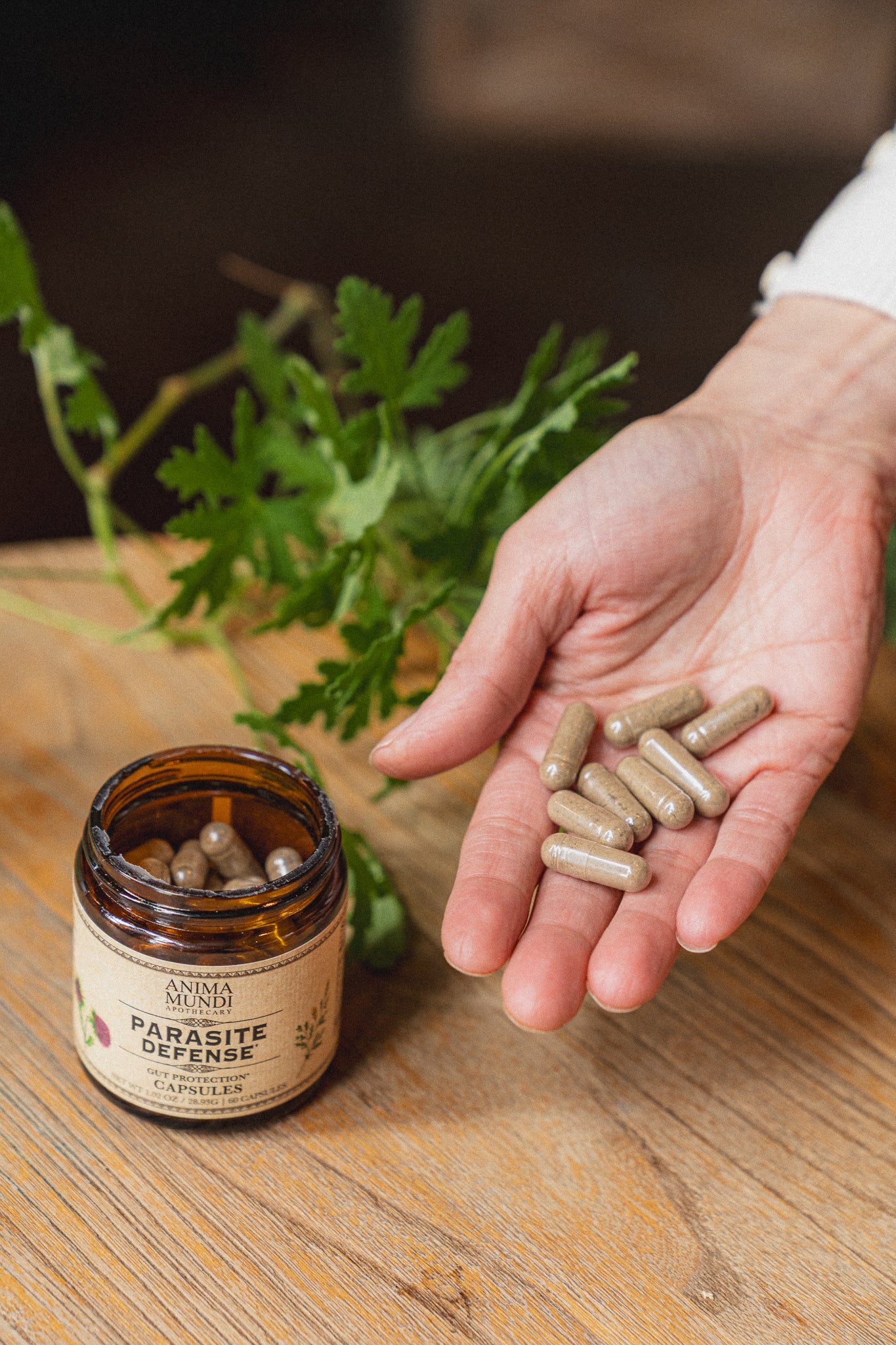 PARA-HERB DEFENSE Capsules | Protects + Supports Gut Health* - Image 3
