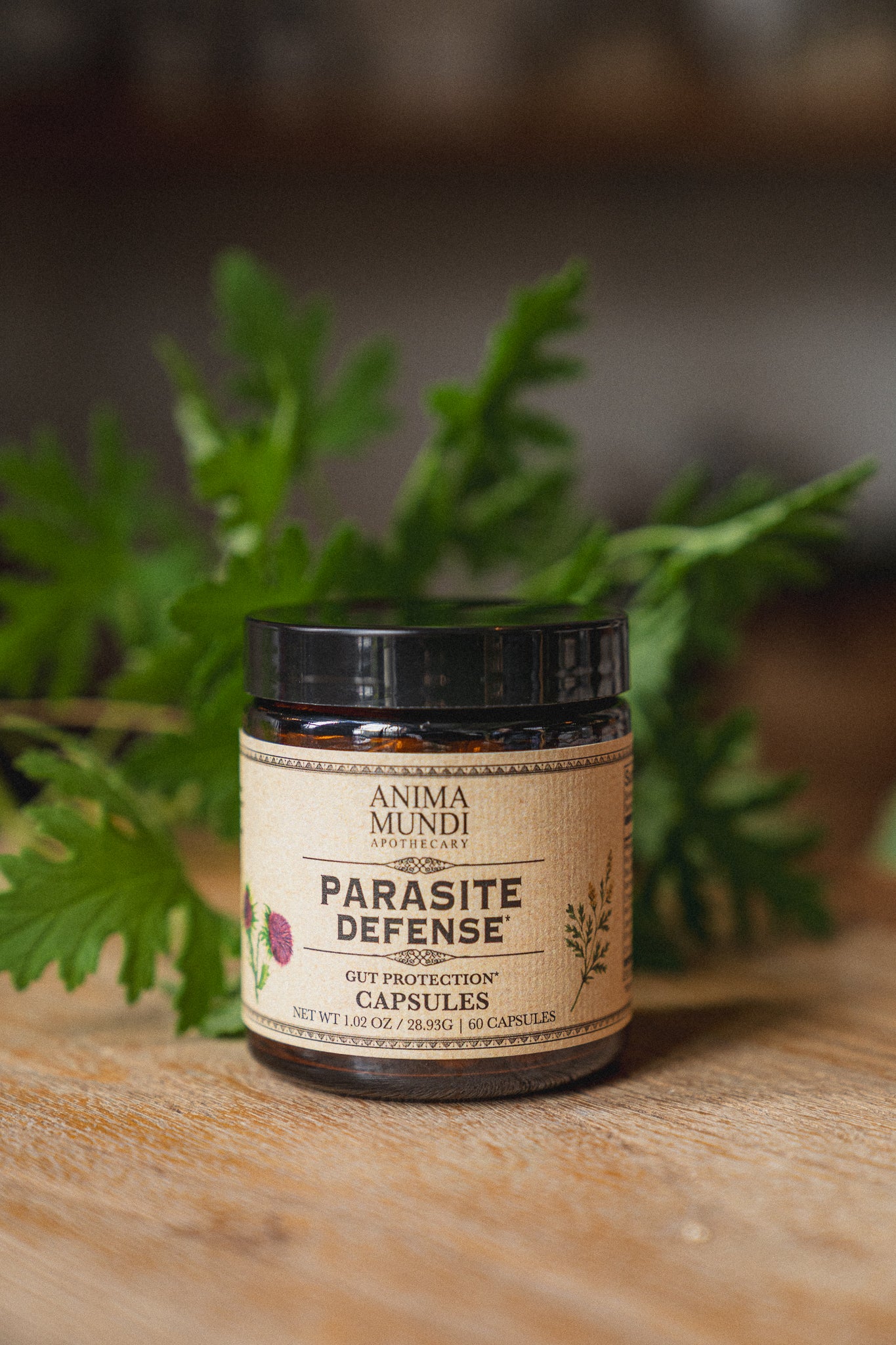 PARA-HERB DEFENSE Capsules | Protects + Supports Gut Health* - Image 5