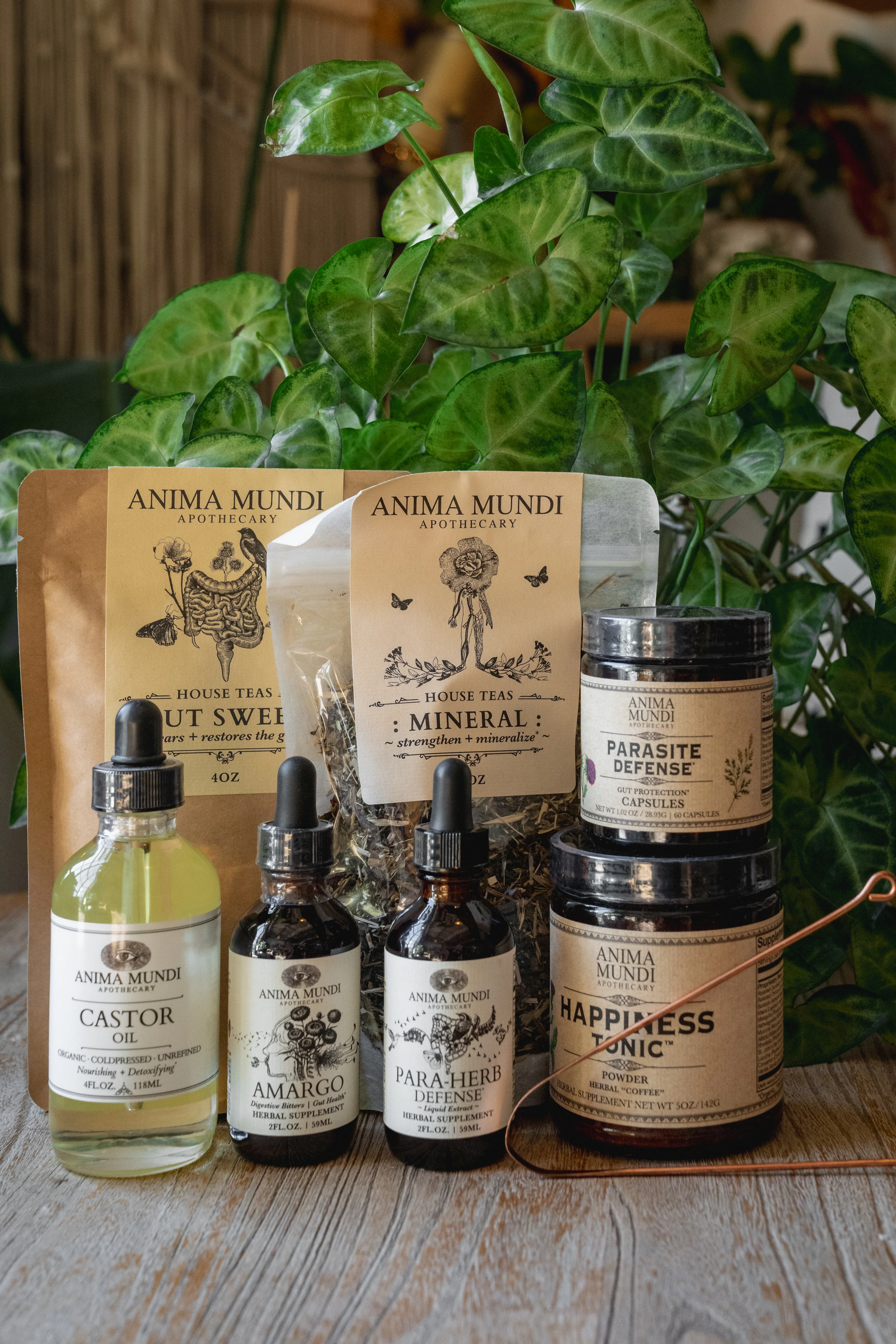 PARA-HERB DEFENSE Tonic | Cleansing + Detoxifying* - Image 4