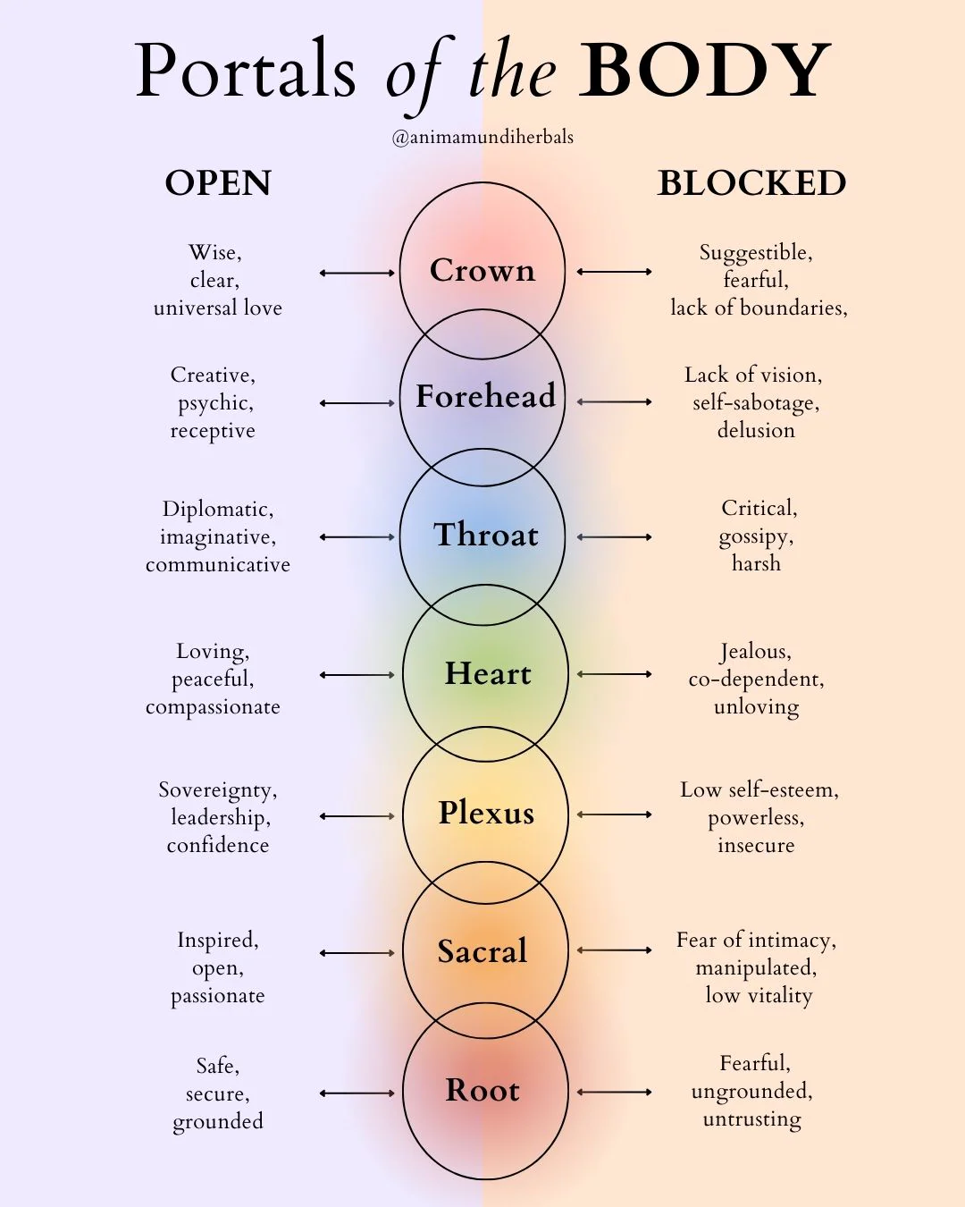 POSTERS By Anima Mundi - Image 10