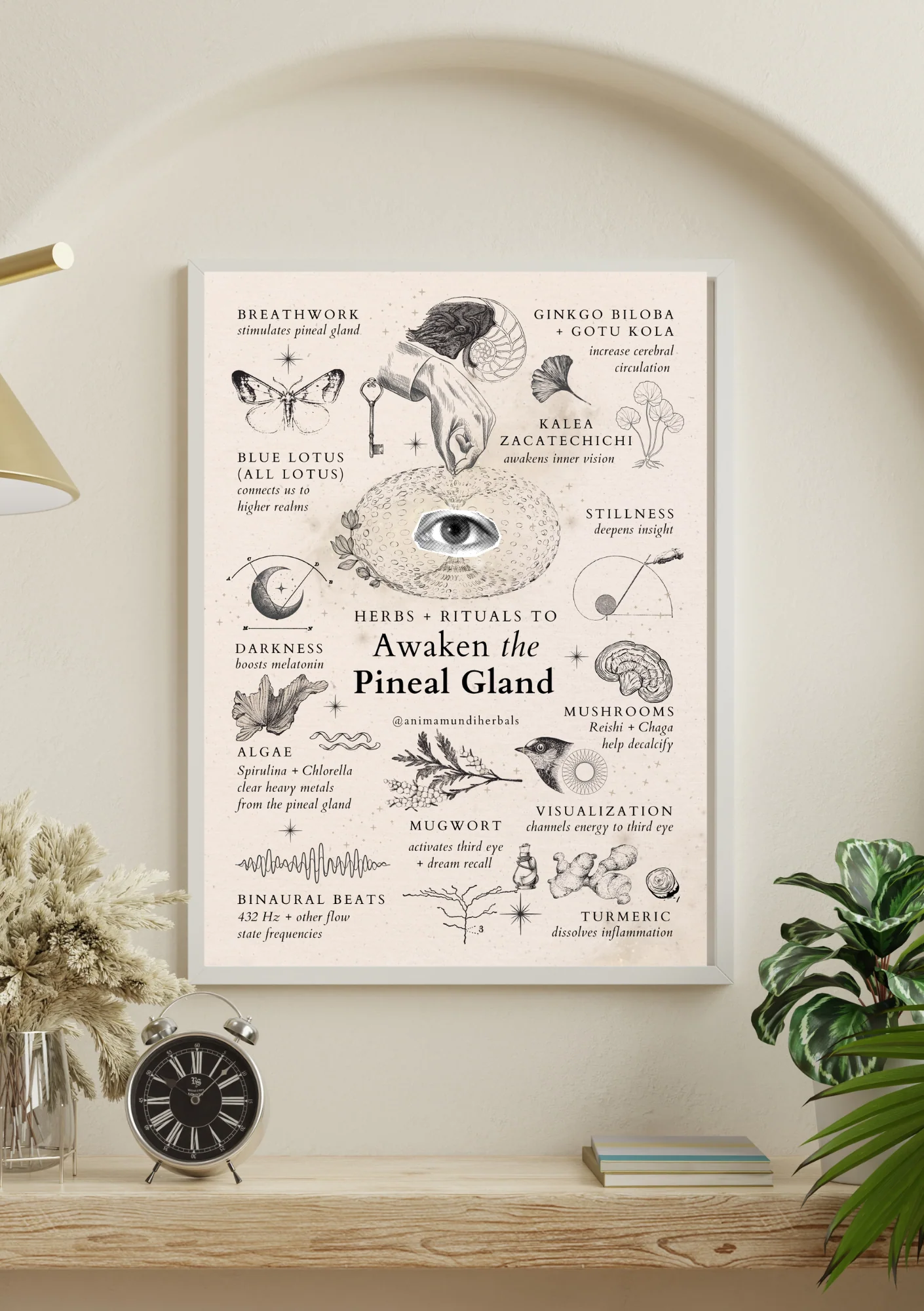 POSTERS By Anima Mundi - Image 13