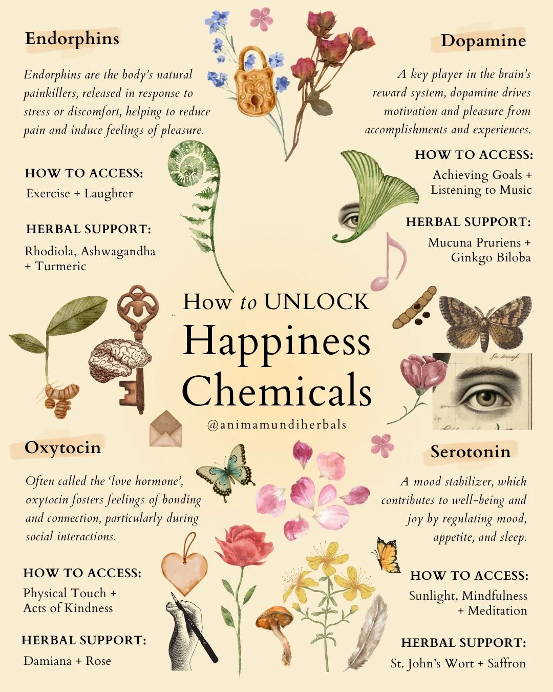 POSTERS By Anima Mundi - Image 4