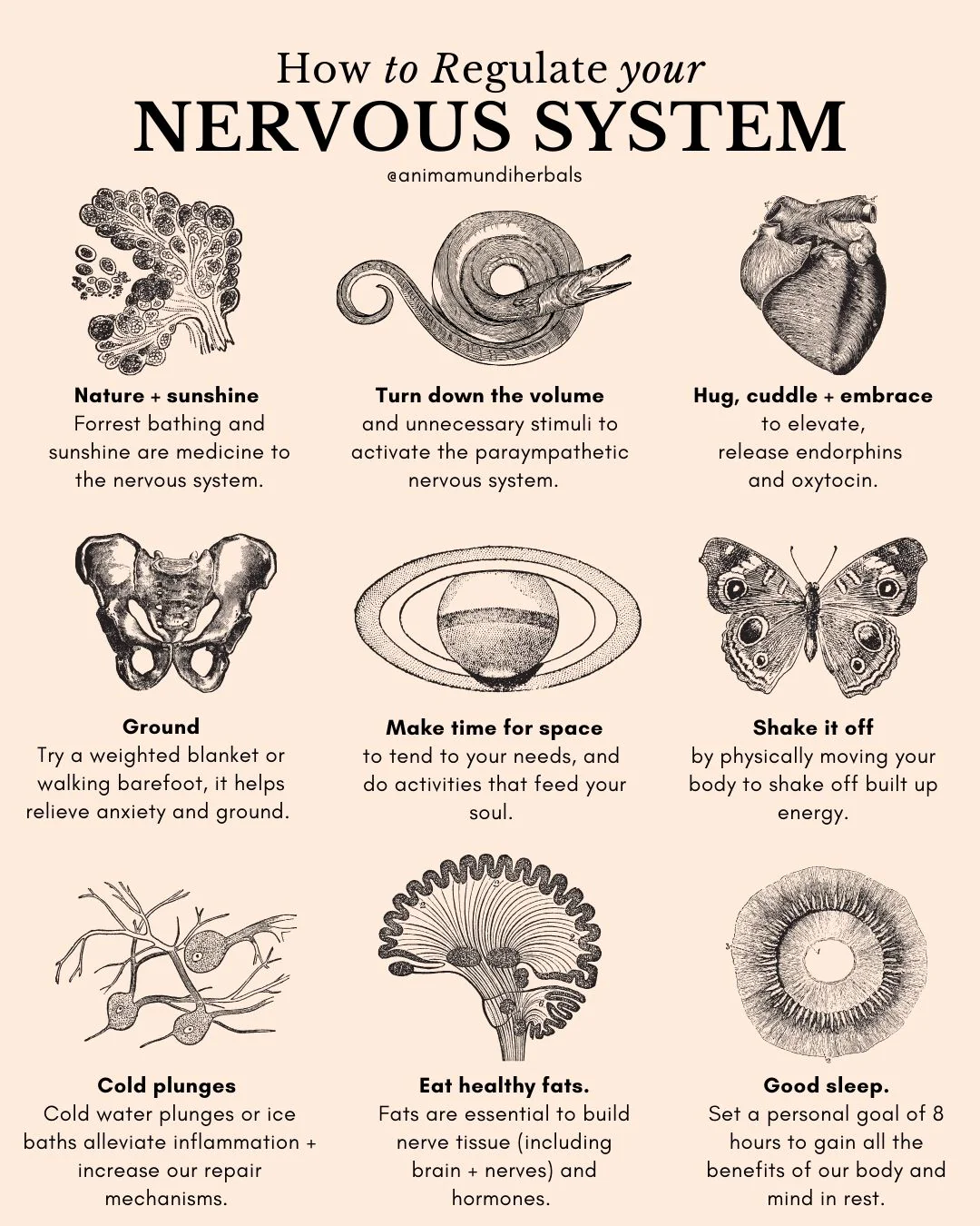 POSTERS By Anima Mundi - Image 6