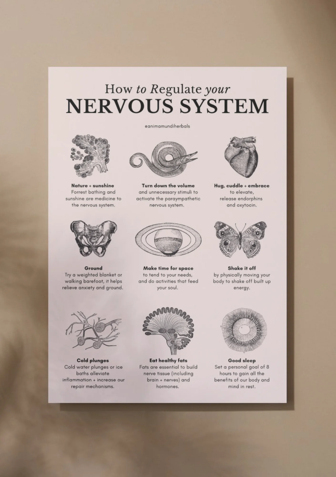 POSTERS By Anima Mundi - Image 7