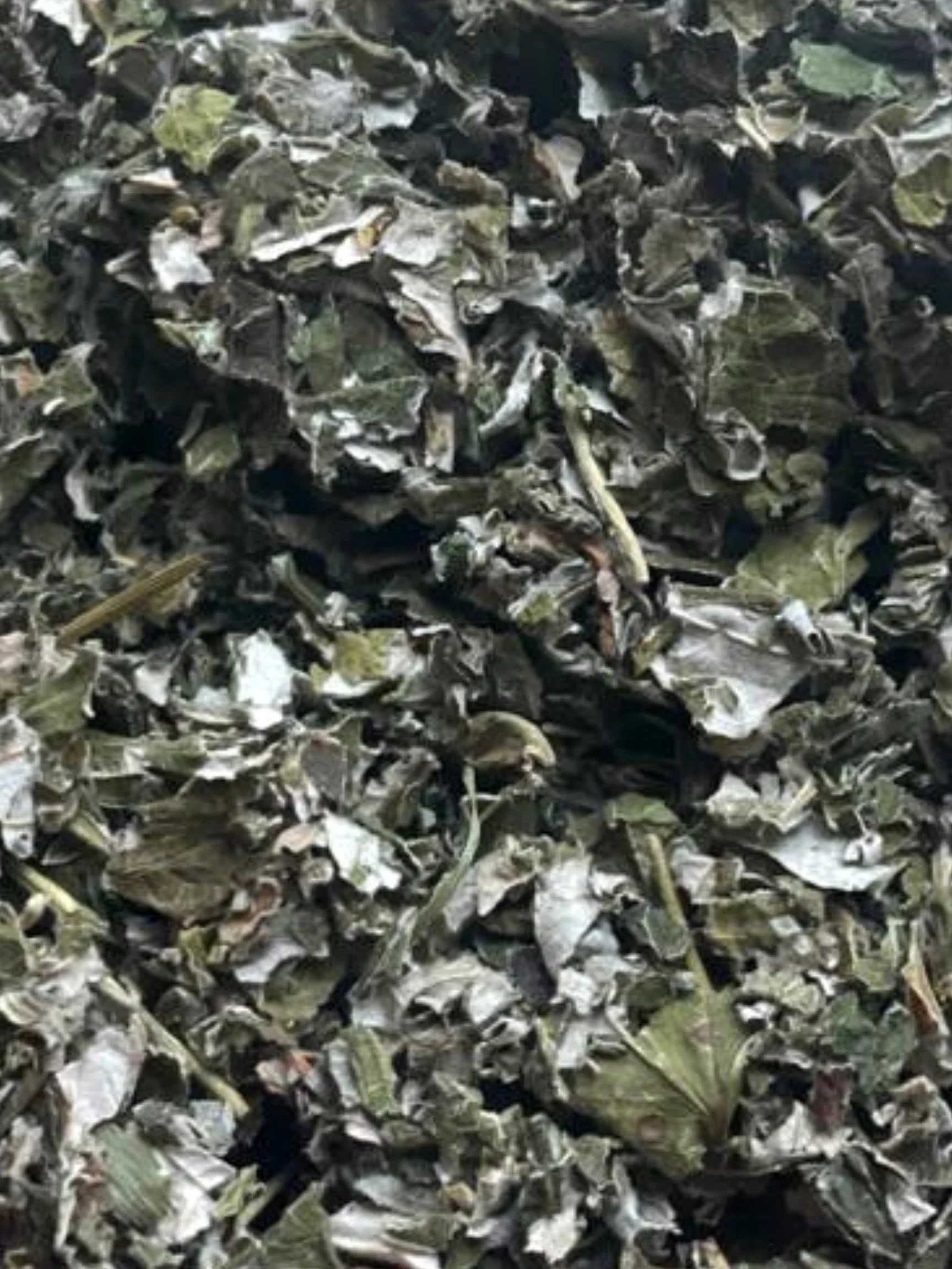 Raspberry Leaf, Organic