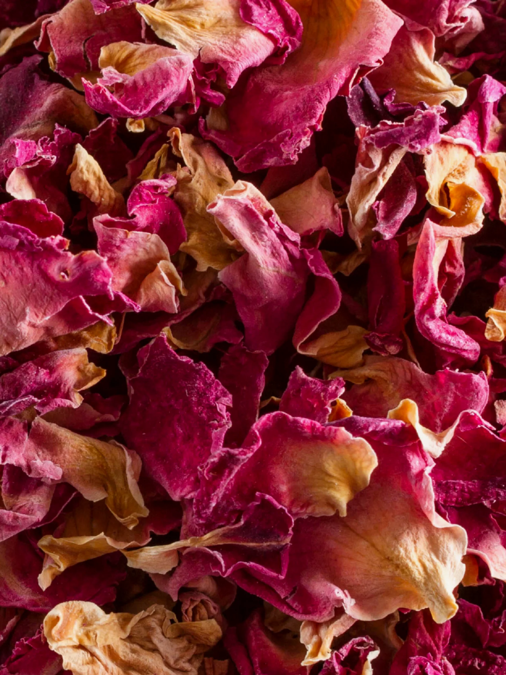 Rose Petals