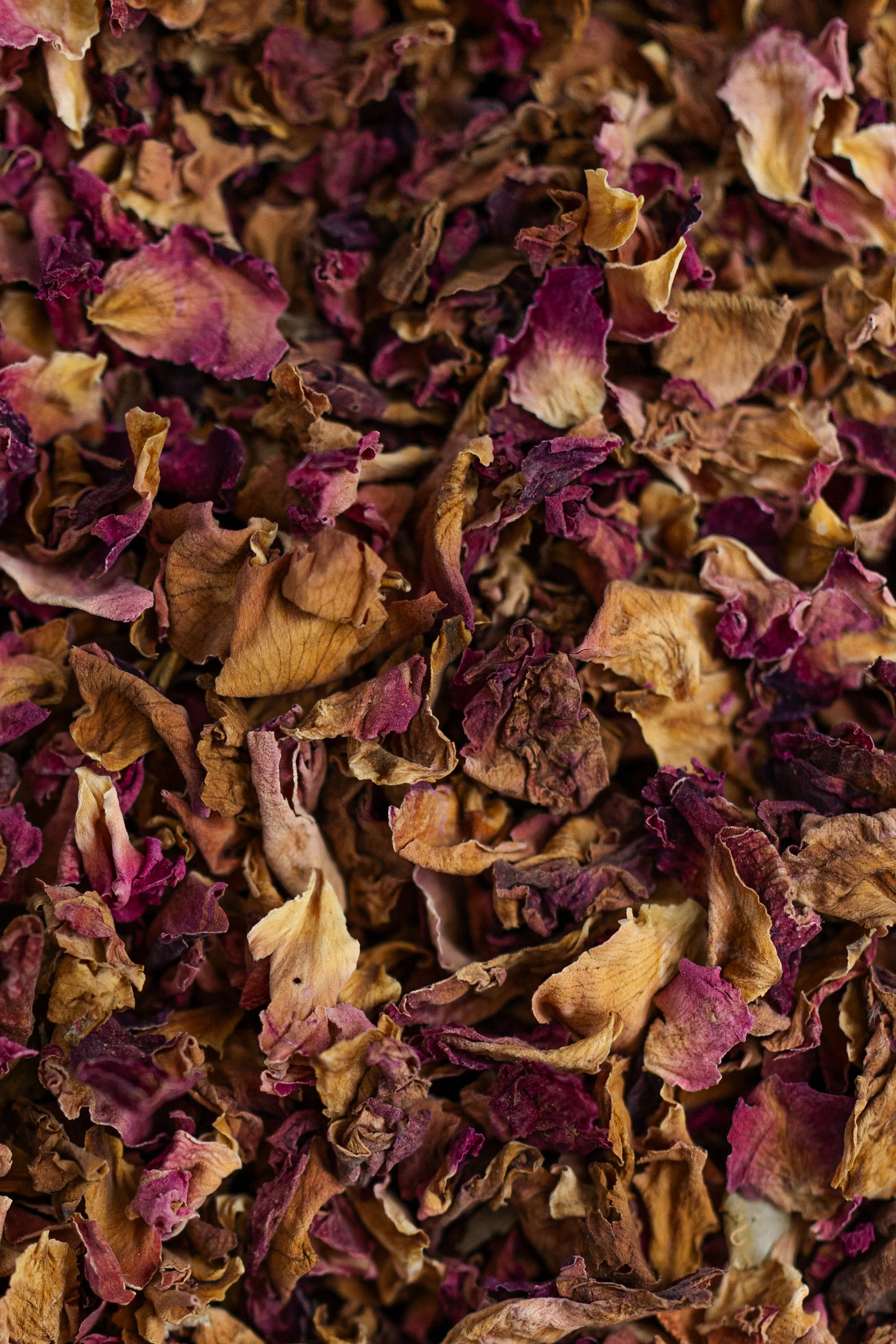Rose Petals - Image 3