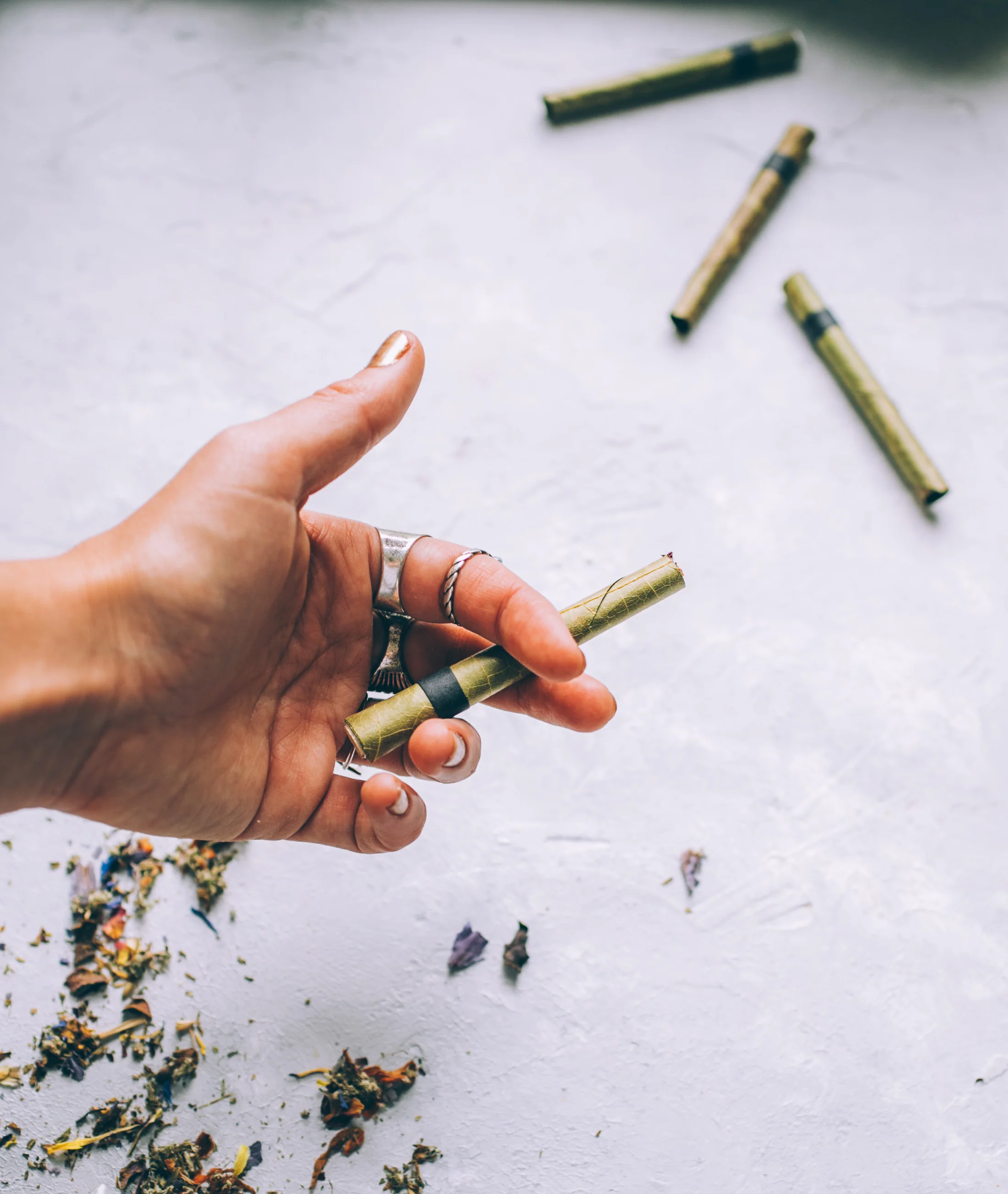 SACRED HEMP Botanical Smoke | Organic + Wild - Image 3