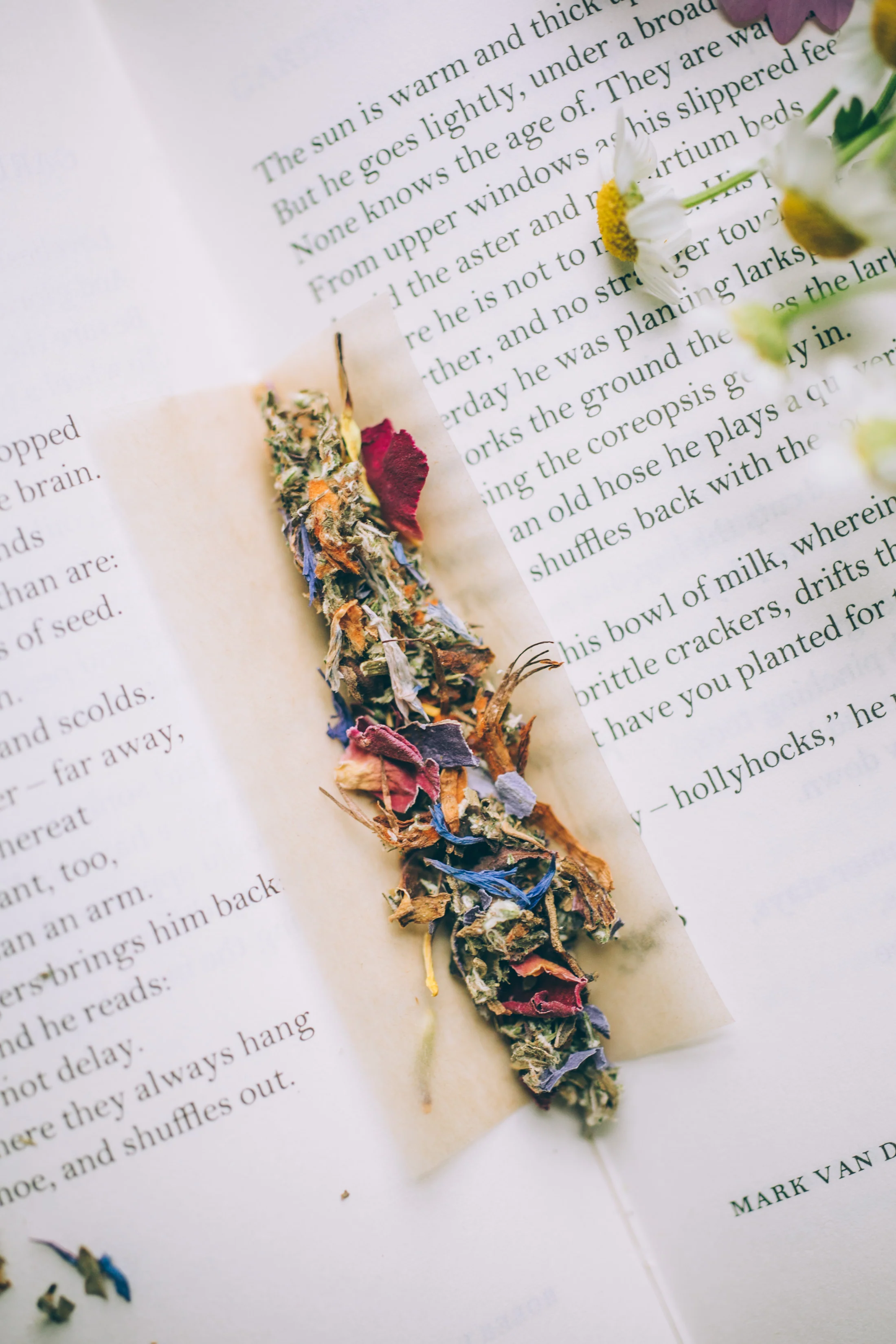 SACRED HEMP Botanical Smoke | Organic + Wild - Image 6