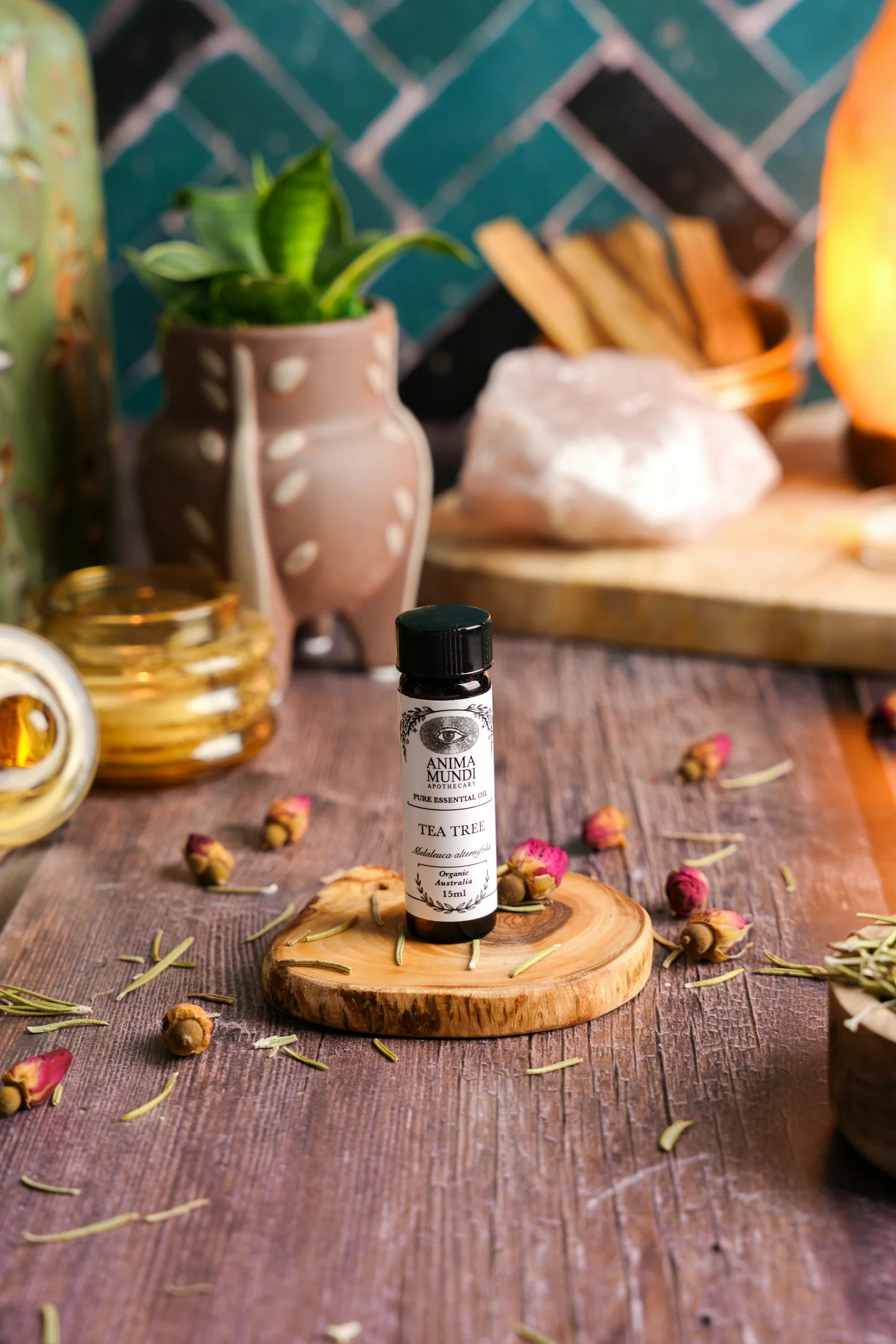 TEA TREE Essential Oil | Organic - Image 2