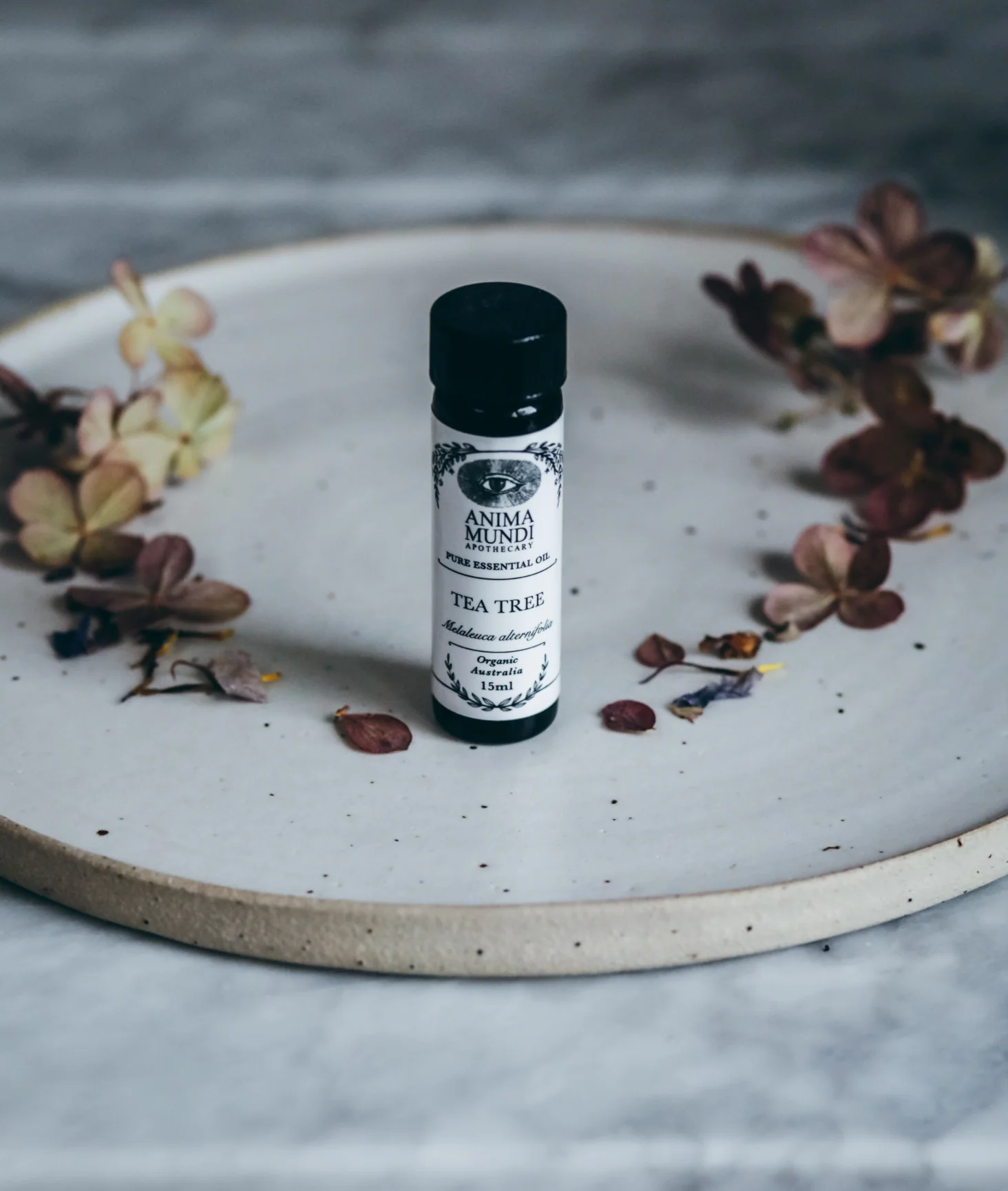 TEA TREE Essential Oil | Organic - Image 3