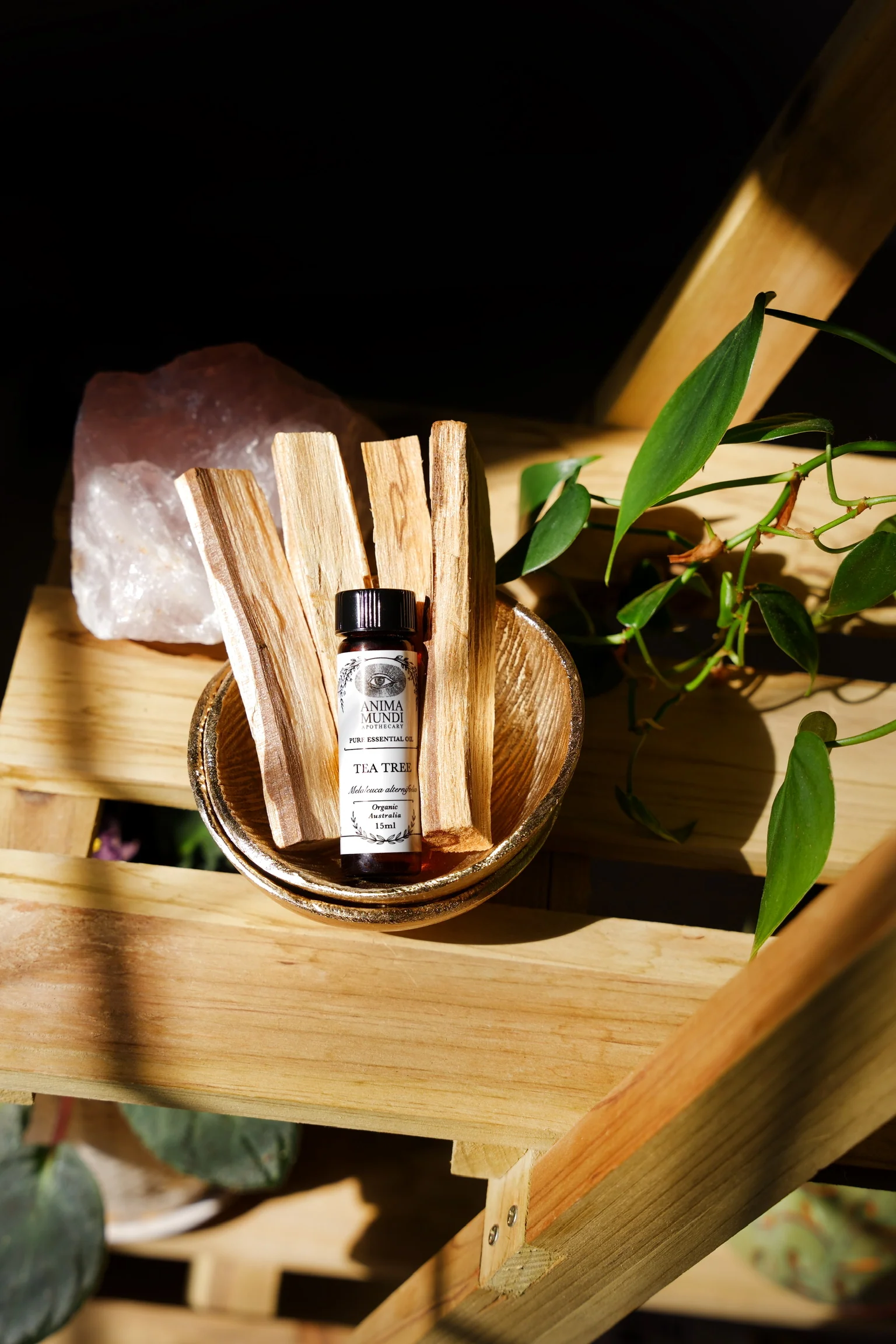 TEA TREE Essential Oil | Organic - Image 4