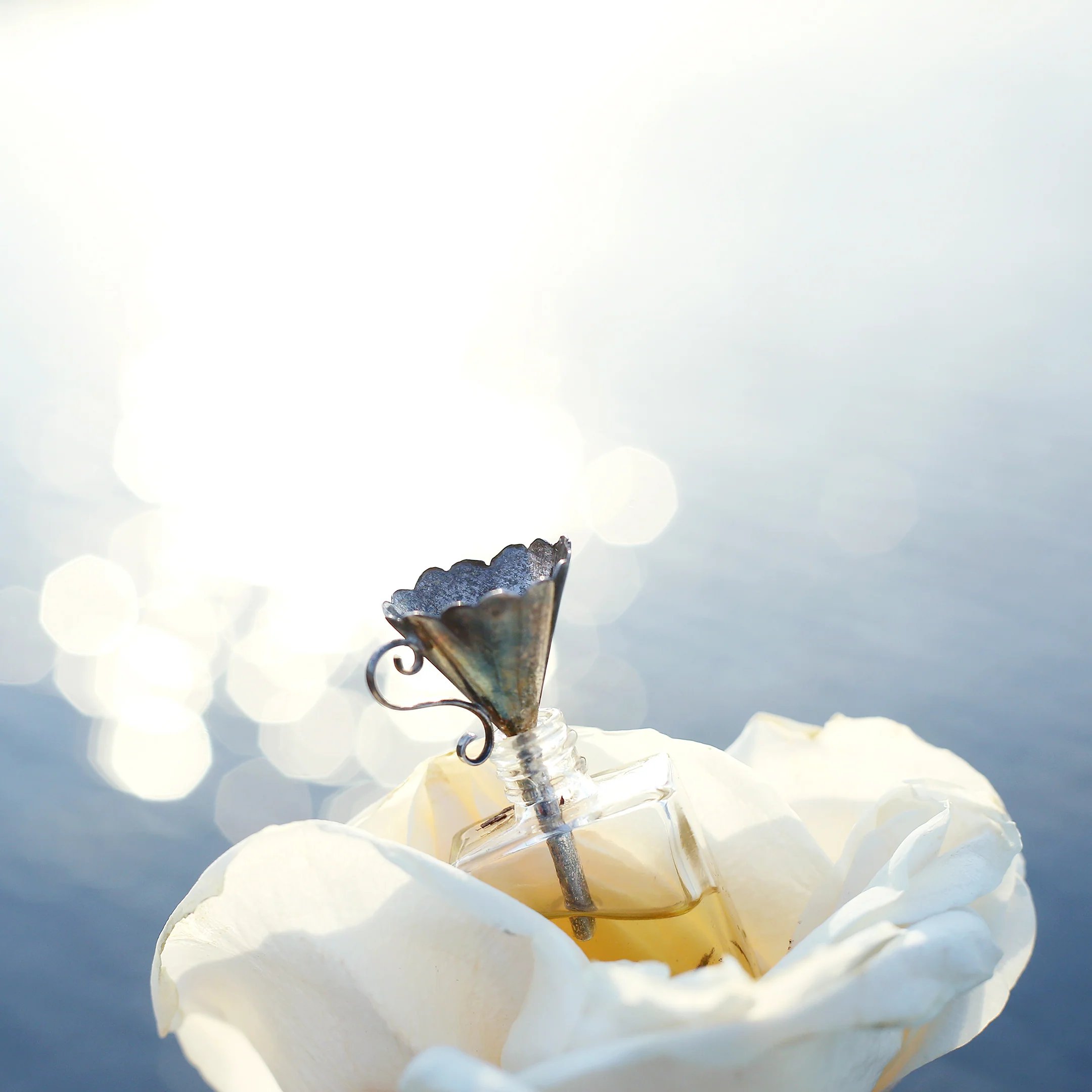 The Art of Botanical Perfume: create your own- Valentines Edition!