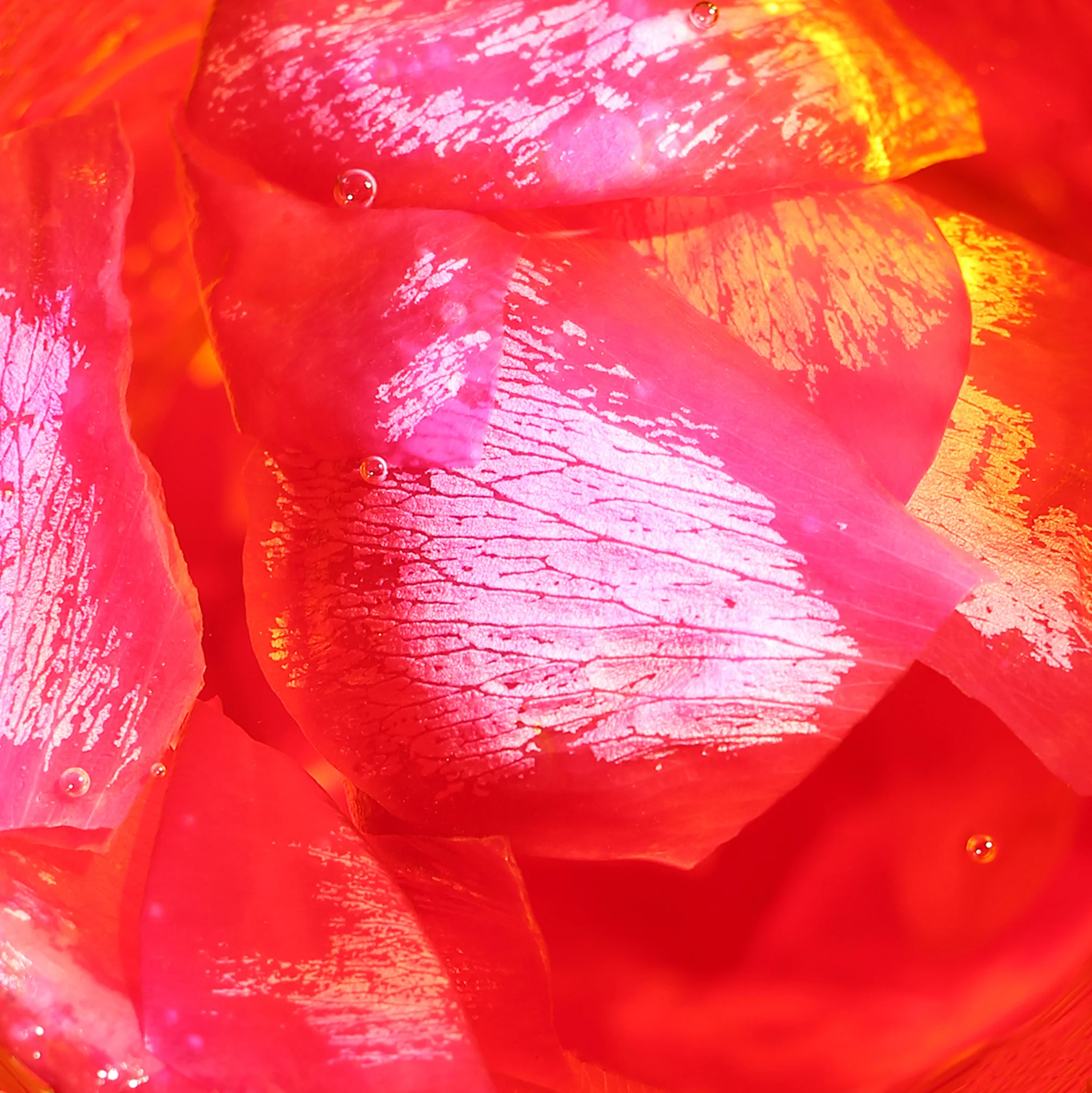 The Art of Botanical Perfume: create your own- Valentines Edition! - Image 2